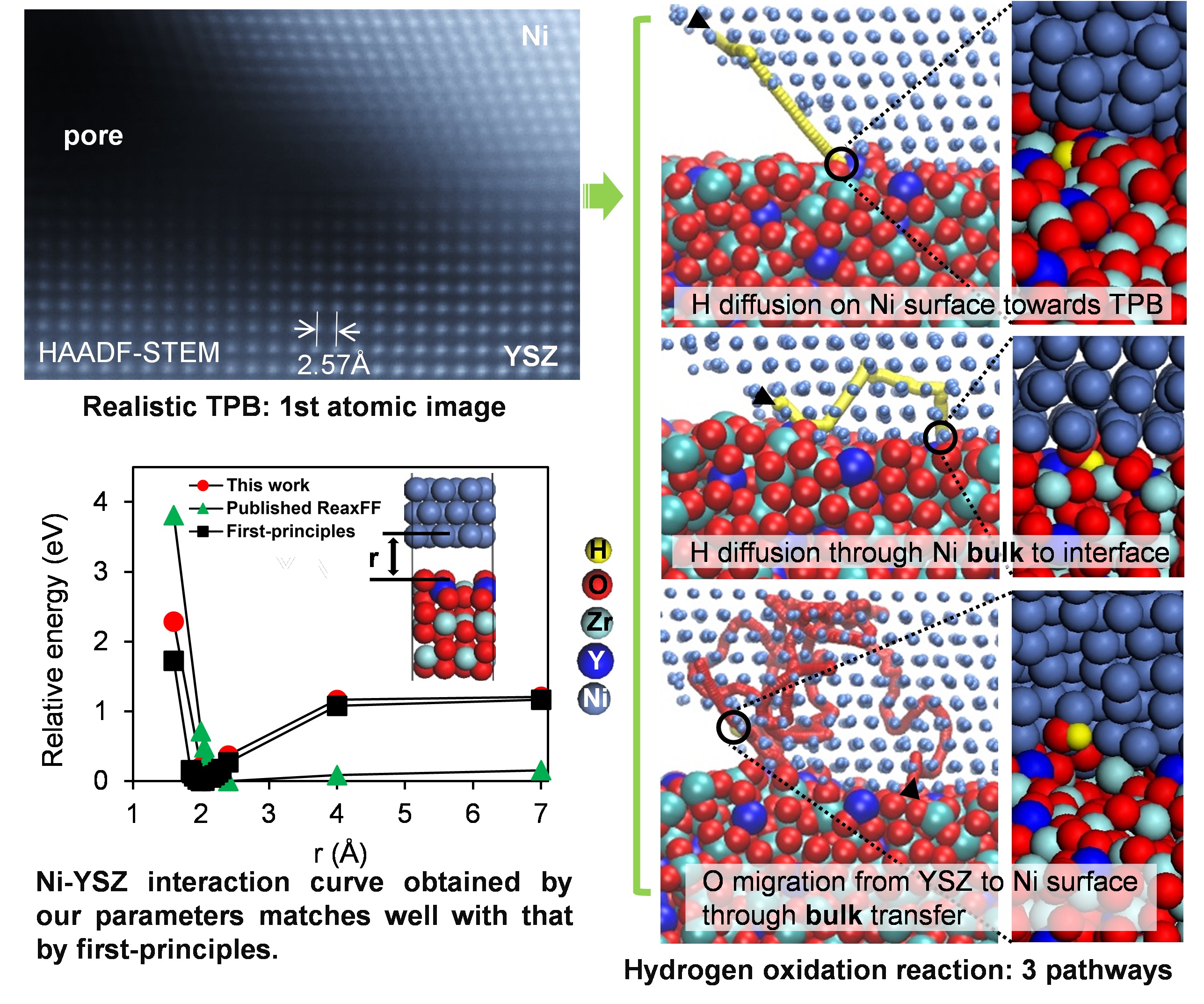 Triple phase boundary in solid oxide fuel cells: Reaction dynamics based on atomic structure observations