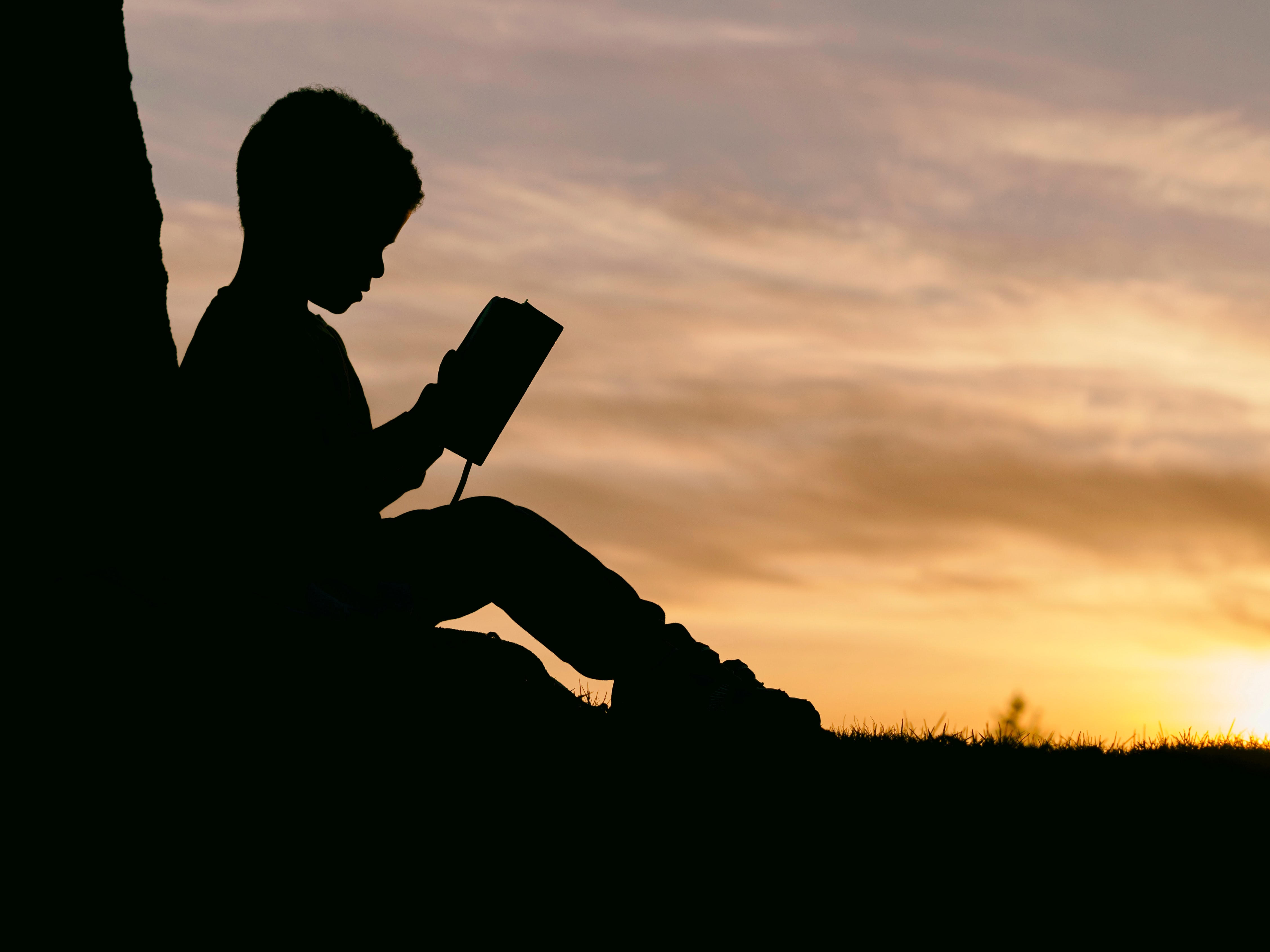 Learning to believe in growth: Cognitive training enhances growth mindset in children