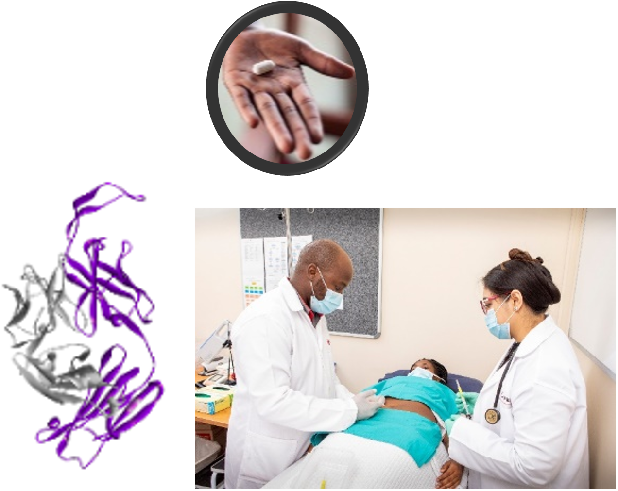A World AIDS Day Journey with Broadly Neutralizing Antibodies: Behind Our Review