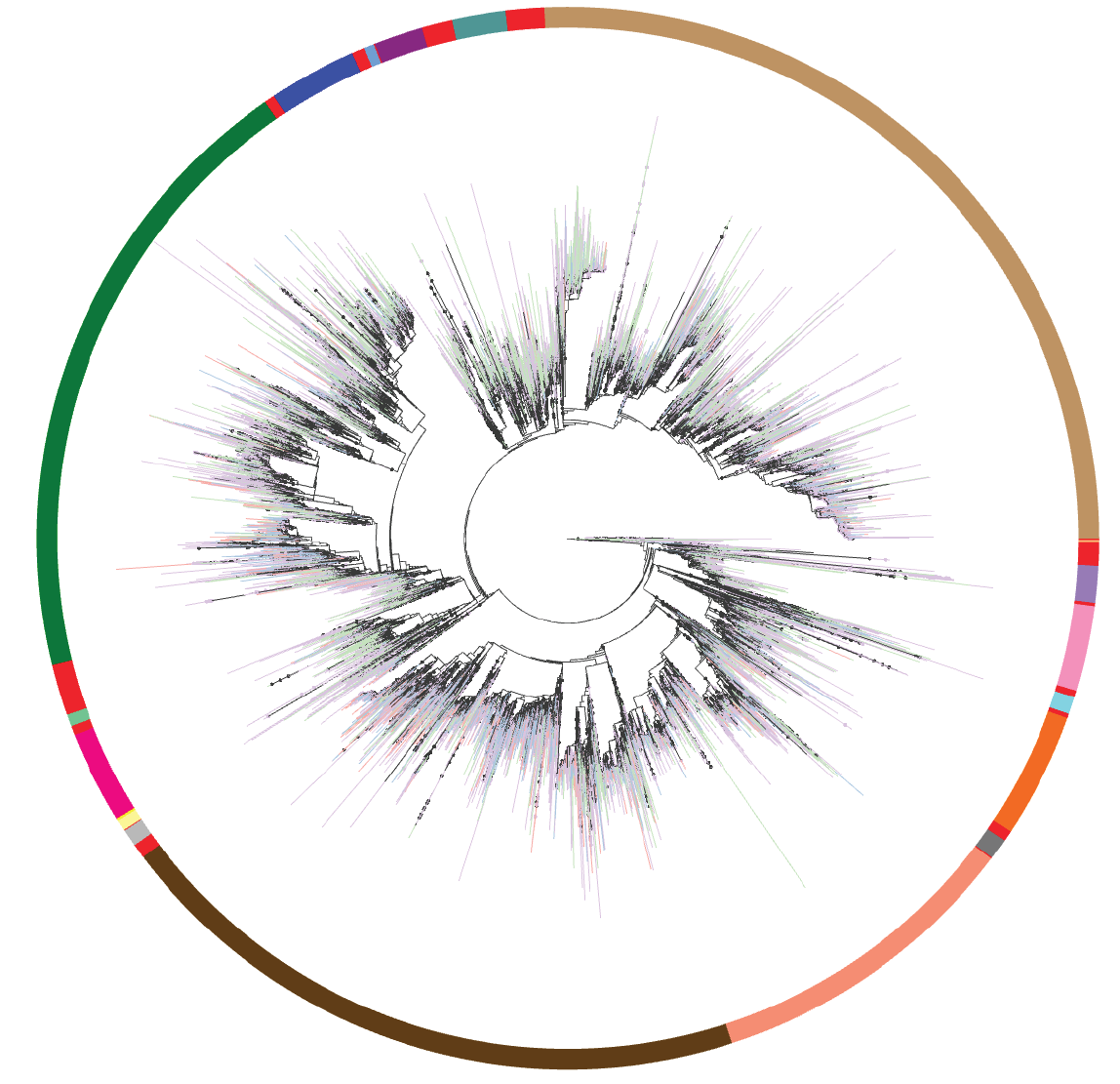 16S rRNA and Shotgun Together At Last with Greengenes2