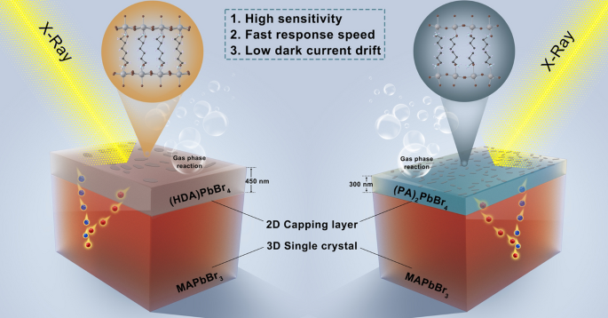Gas‑Phase Construction of Compact Capping Layers for High‑Performance Halide Perovskite X‑Ray Detectors