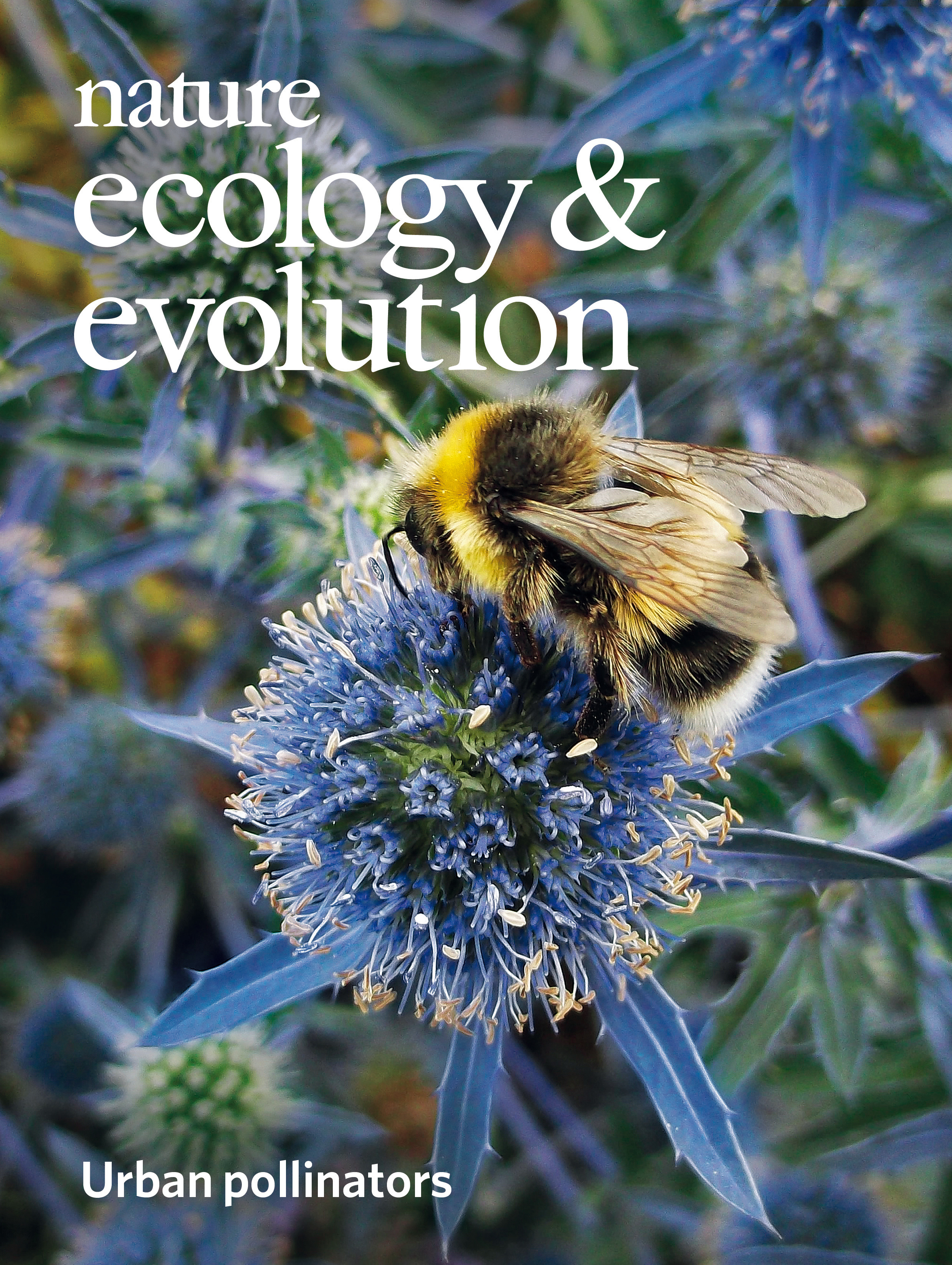 Gallery | March 2019 cover
