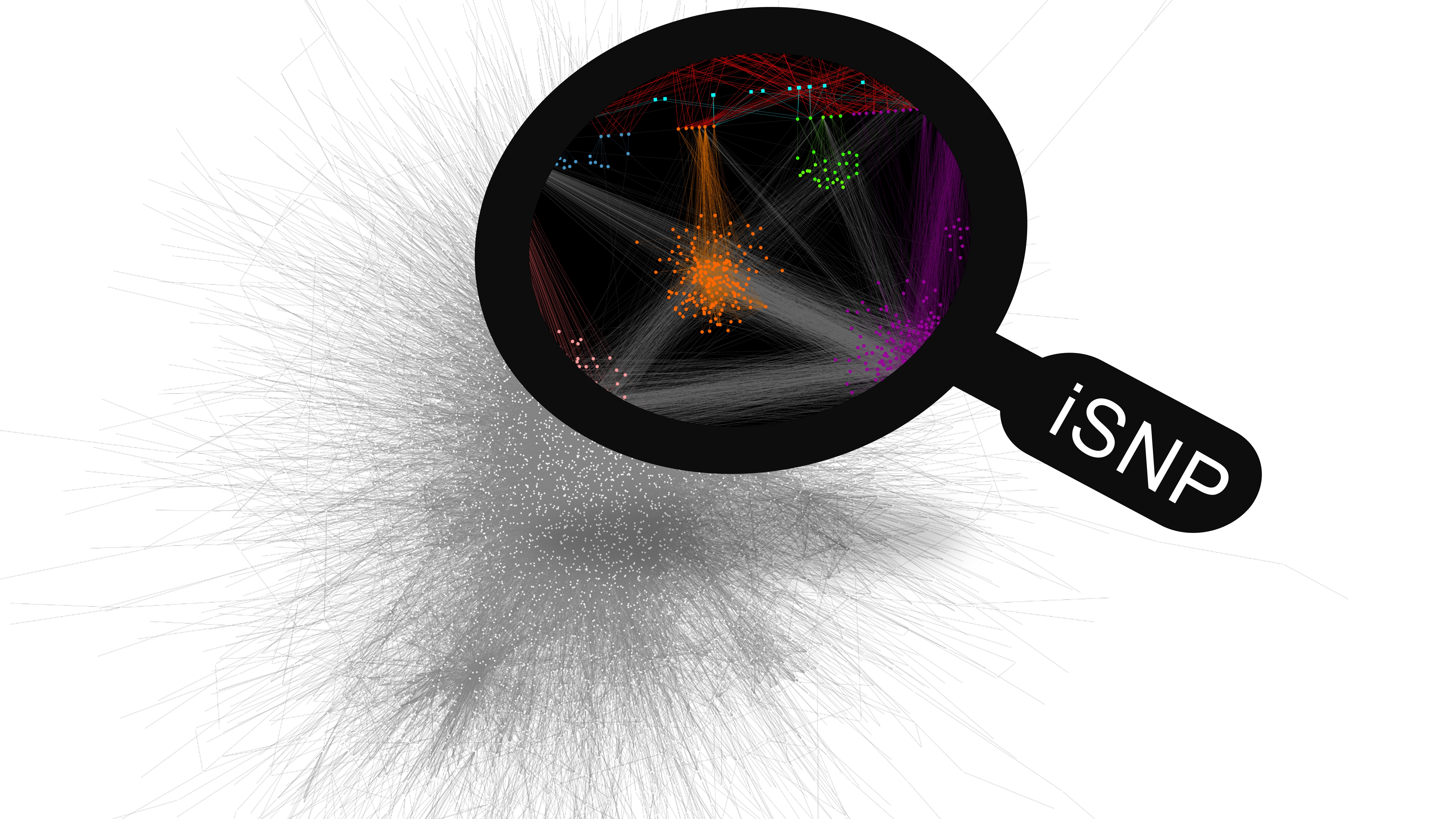 Investigating the hidden genomic background of complex diseases: the story of iSNP, the integrated single nucleotide polymorphism network platform