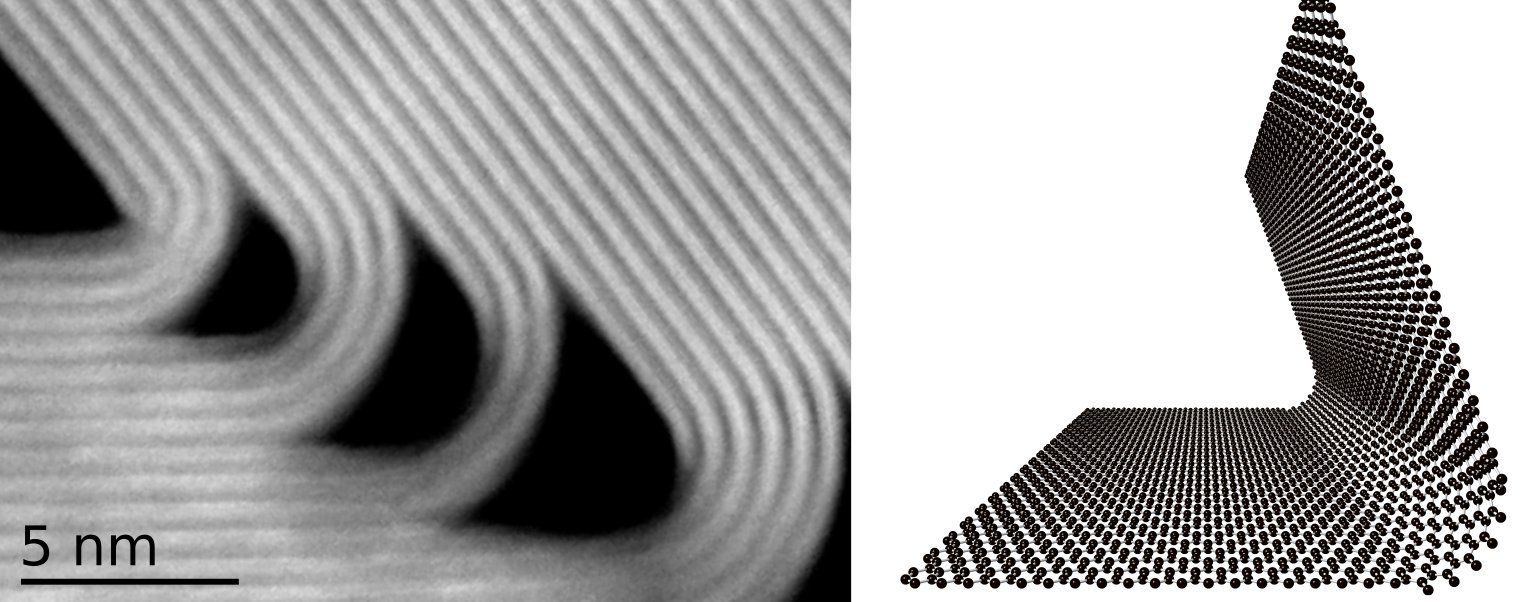 Anomalous twin boundaries in two dimensional materials