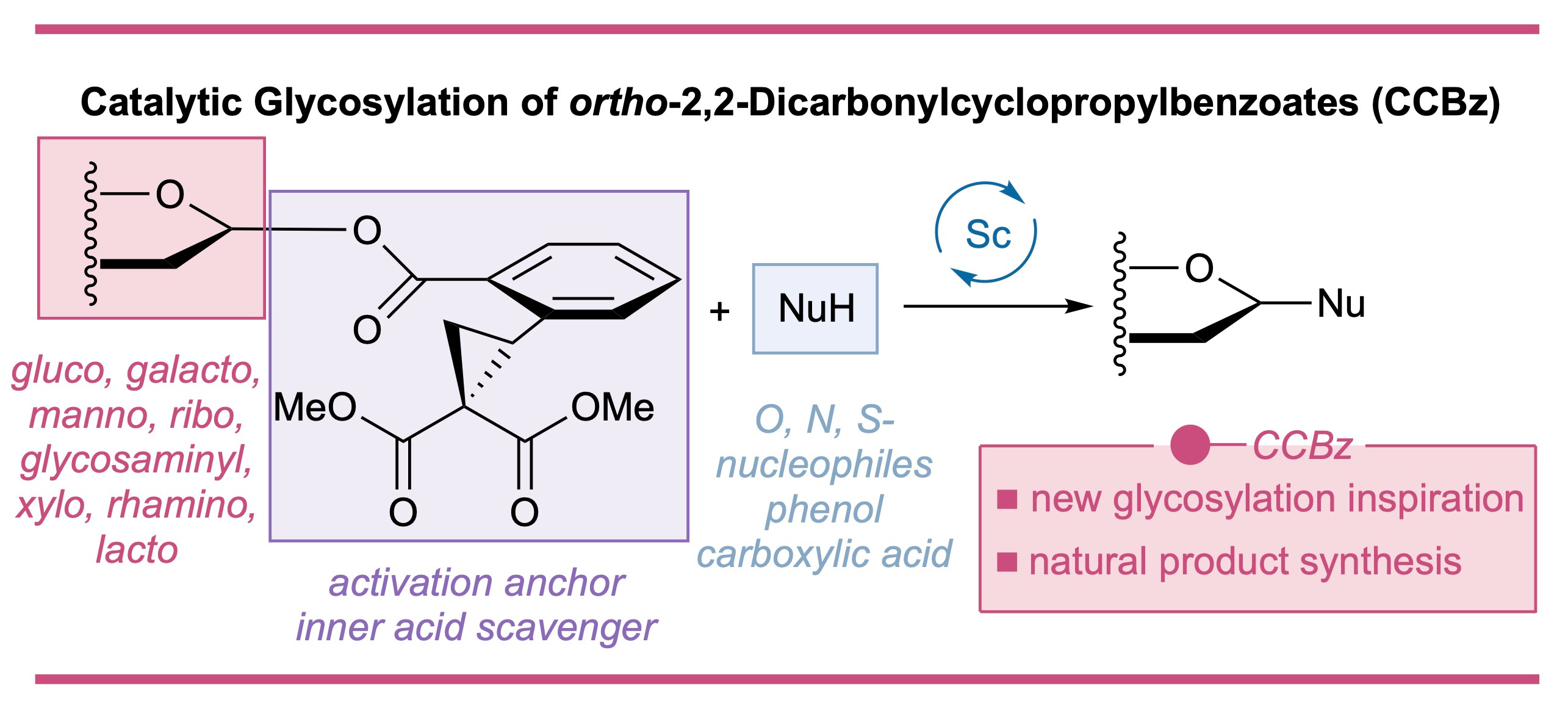 Novel Glycosylation Methodologies Propelled by Ring-Strain Release
