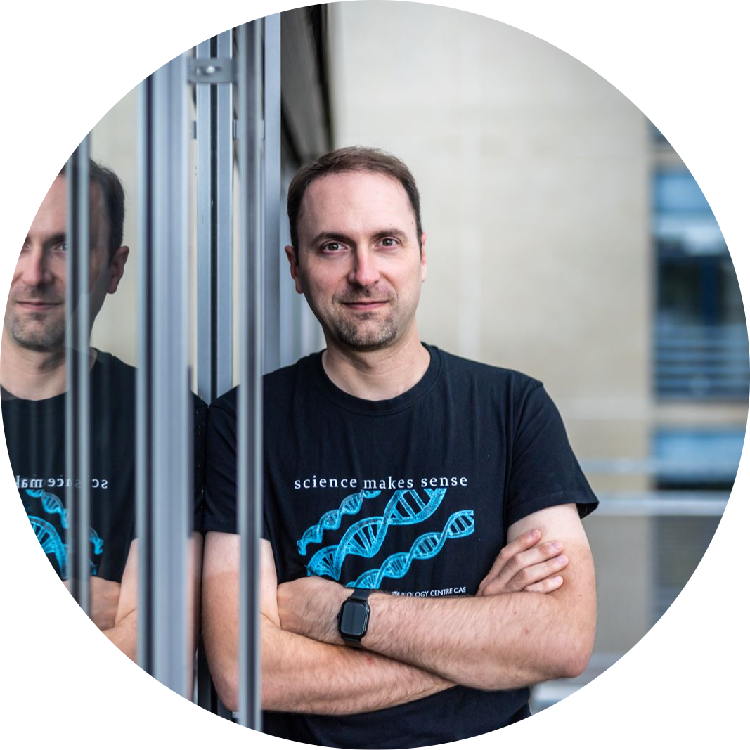 Go to the profile of Daniel Ruzek