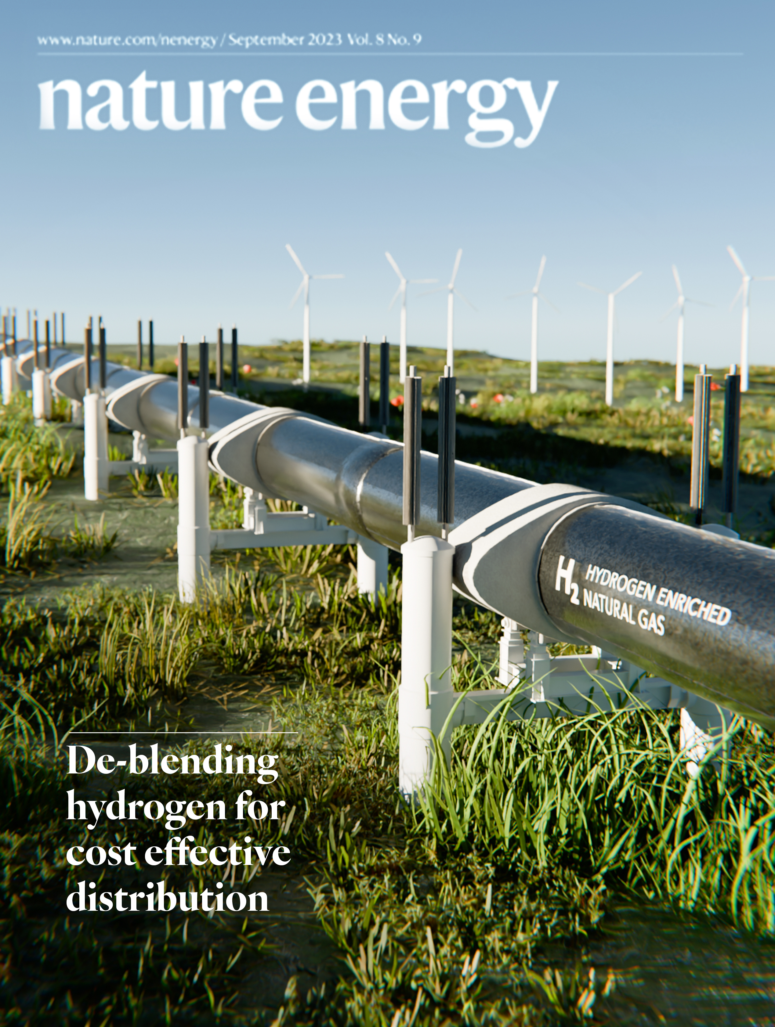 Ion-pair Membrane based electrochemical hydrogen pumps for hydrogen purification and compression.