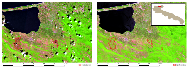 Explainable Artificial Intelligence (XAI) detects wildfire occurrence in the Mediterranean countries of Southern Europe
