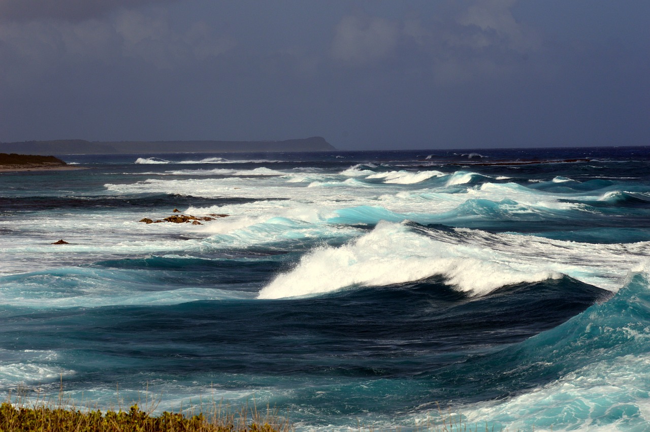 World Oceans Day 2016: Sarah Pickup