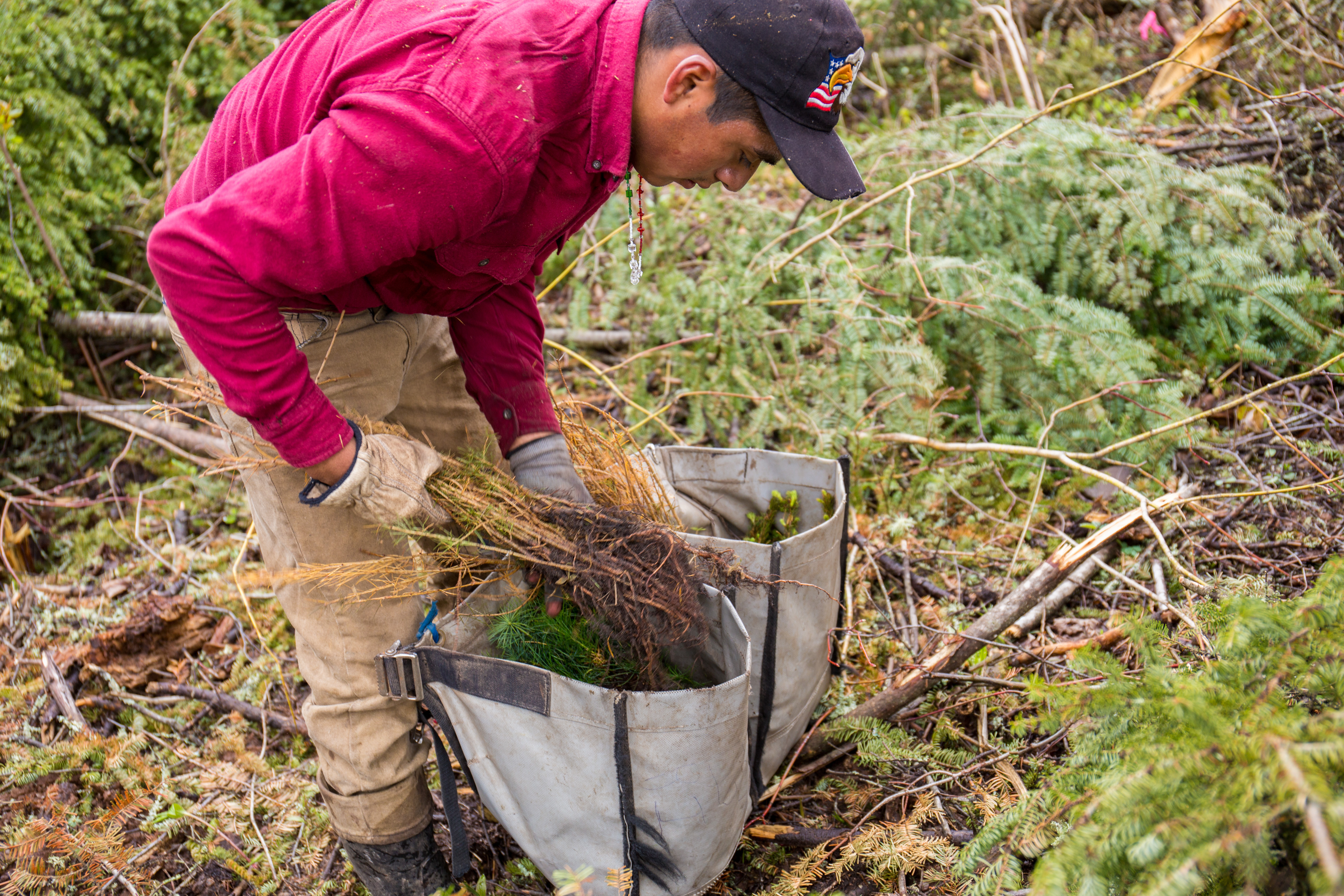 Transforming conservation in a changing climate 