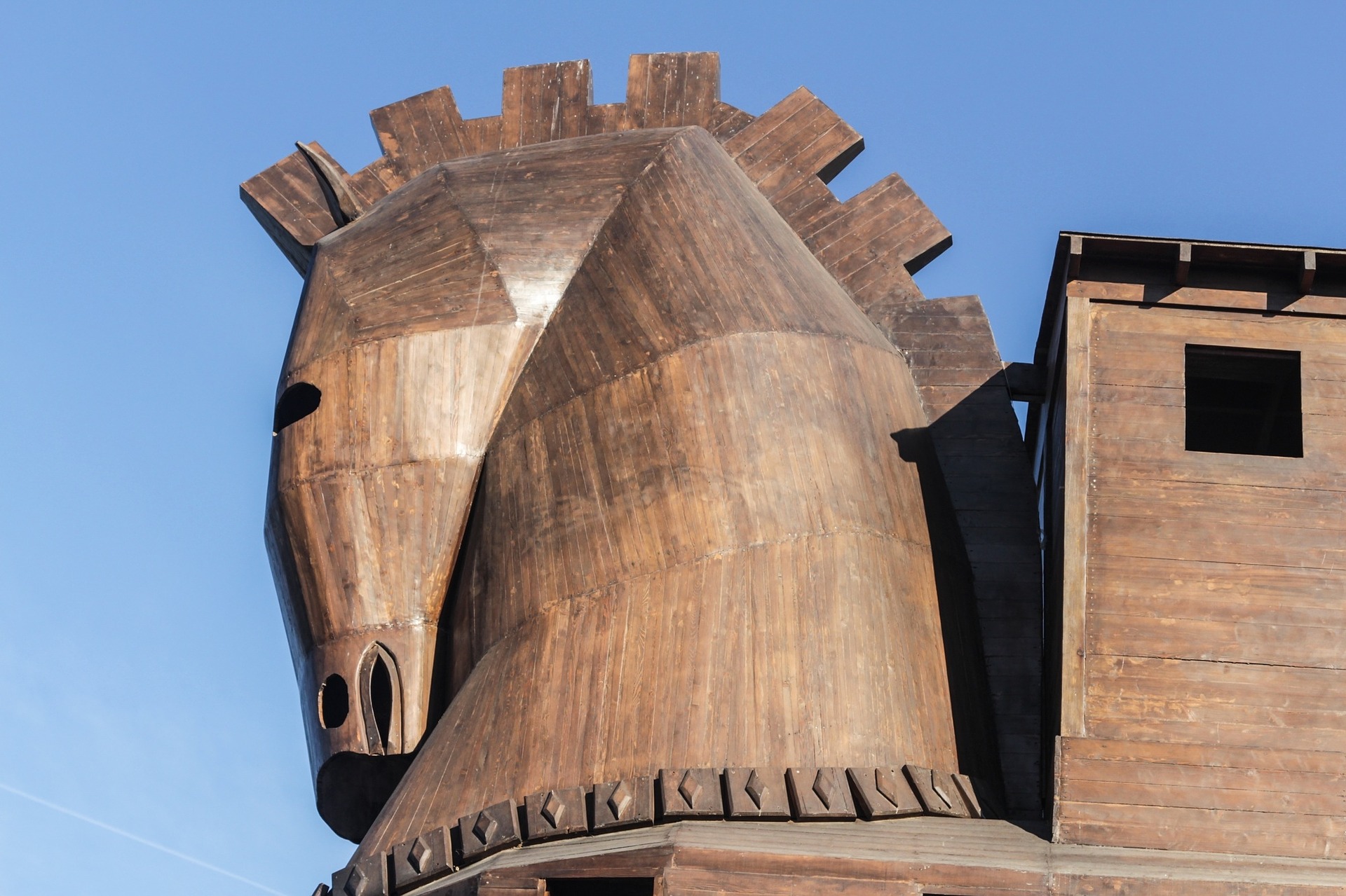 Bacteria Engineered as Trojan Horse for Cancer Immunotherapy