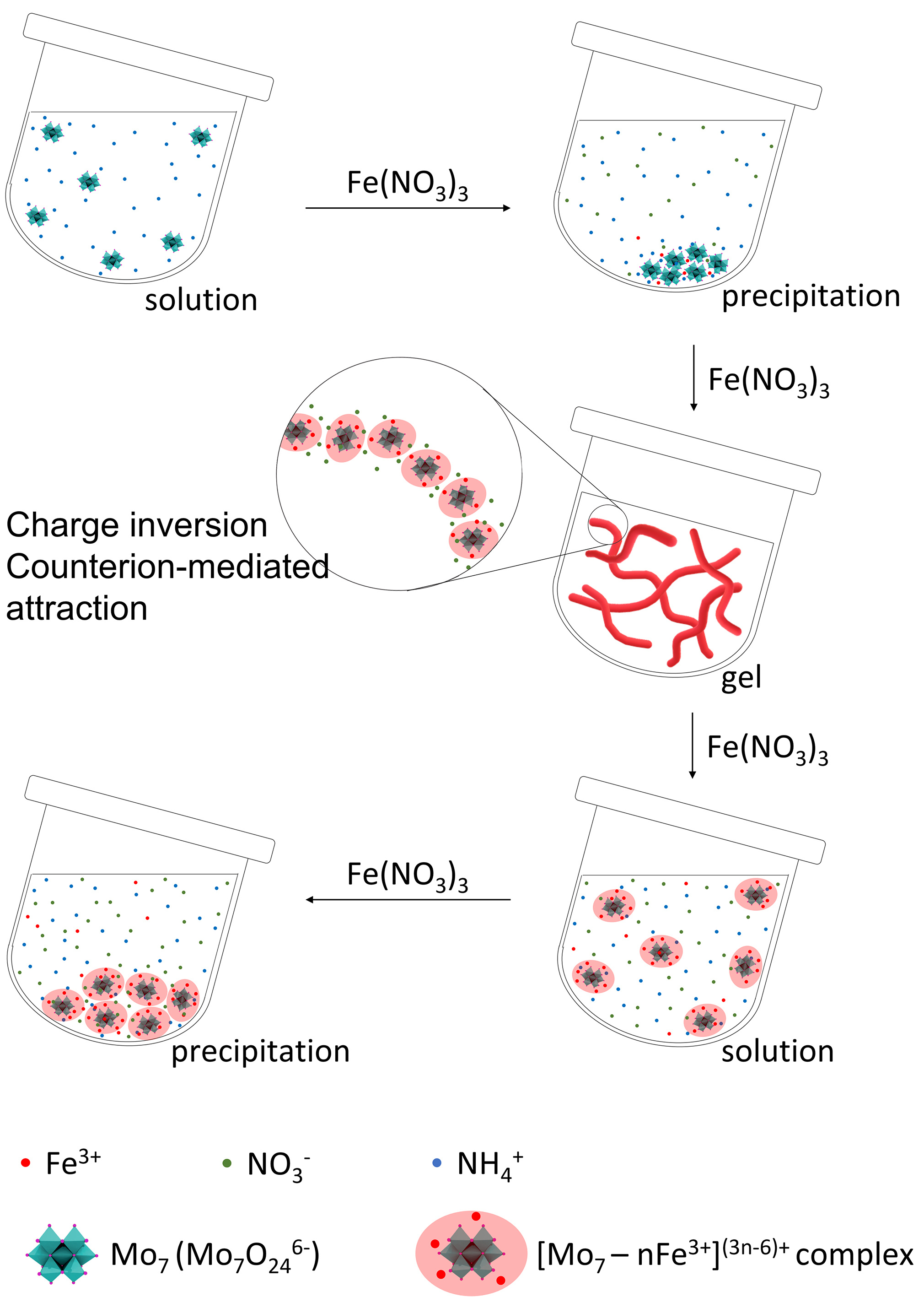 Complex phase transitions and phase engineering in the aqueous solution of an isopolyoxometalate cluster