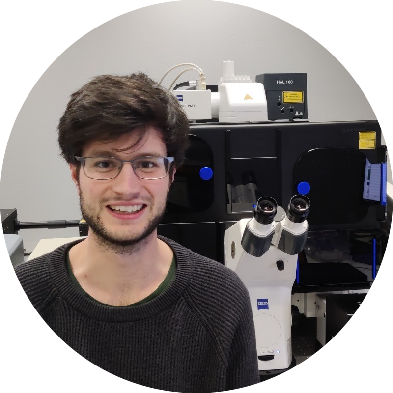 Go to the profile of Francesco Andreatta