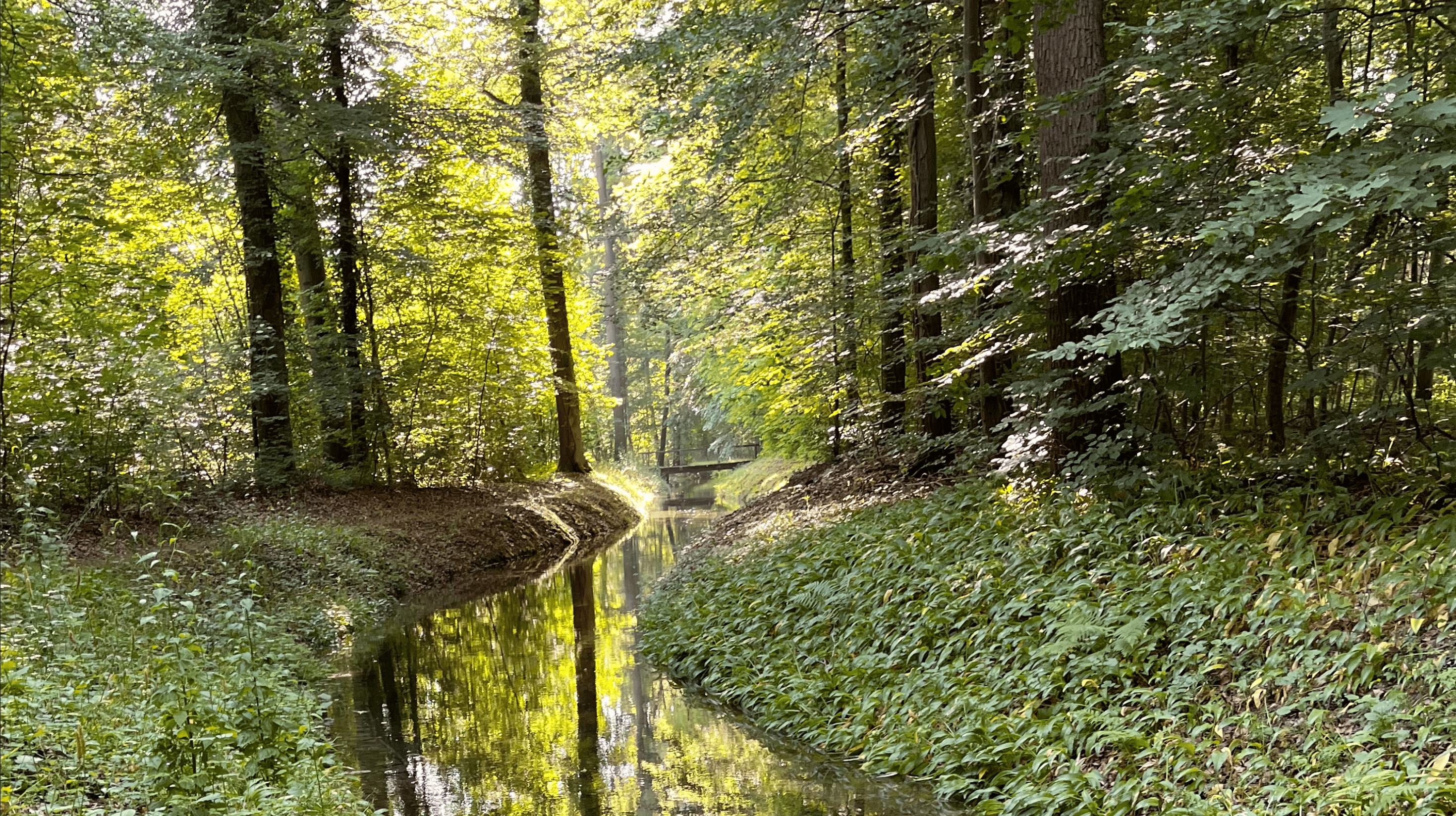 Nuclear Power Plants Release Powerful Environmental Tracers