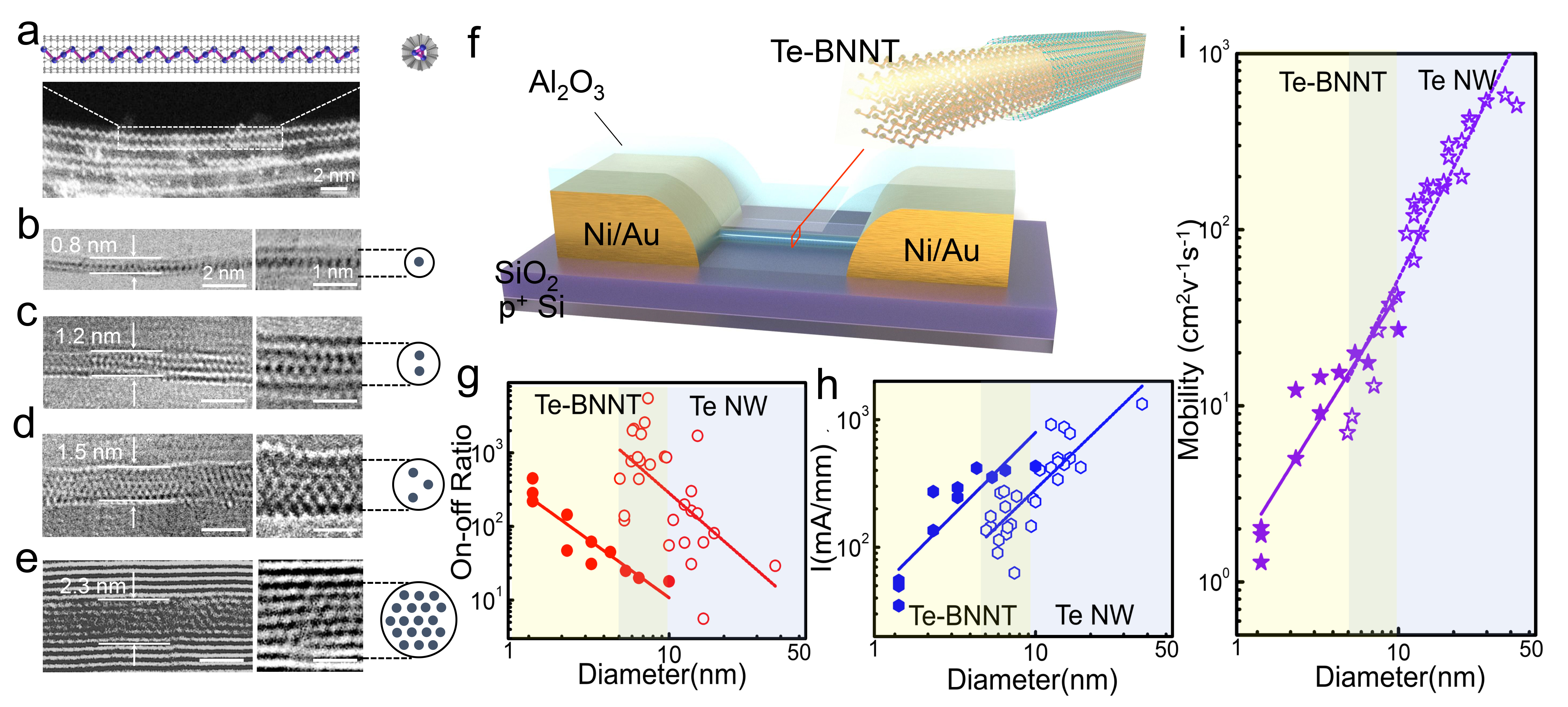 One-dimensional vdW Tellurium Atomic Chains Encapsulated in Nanotubes: Towards the World’s Smallest Nanowire FETs