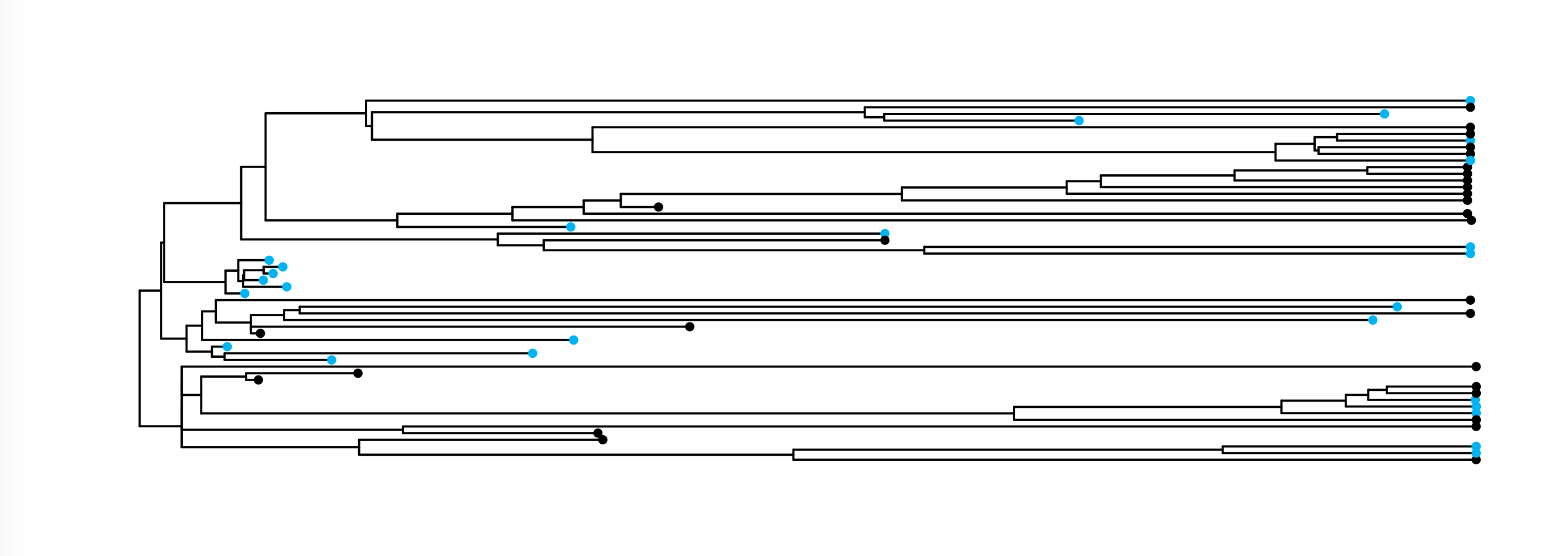 Cultural phylogenetics of afterlife beliefs