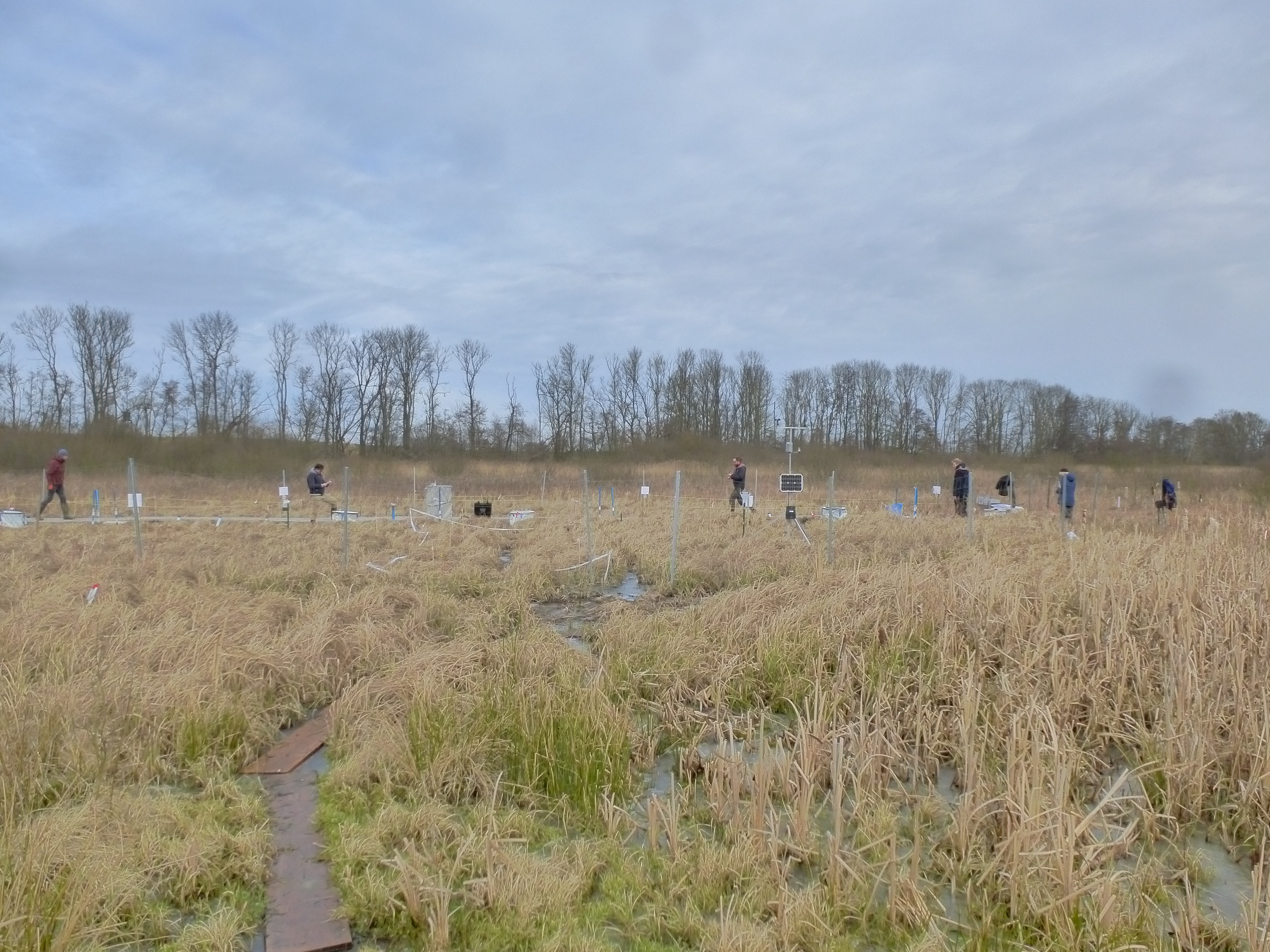 Soil Degradation Based Nitrous Oxide Emissions and Rewetting Options for European Peatlands 