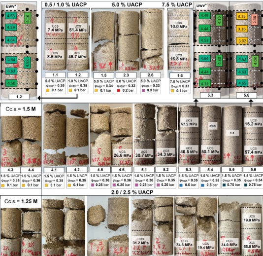 Bio-Concrete Achieves Unprecedented Strength