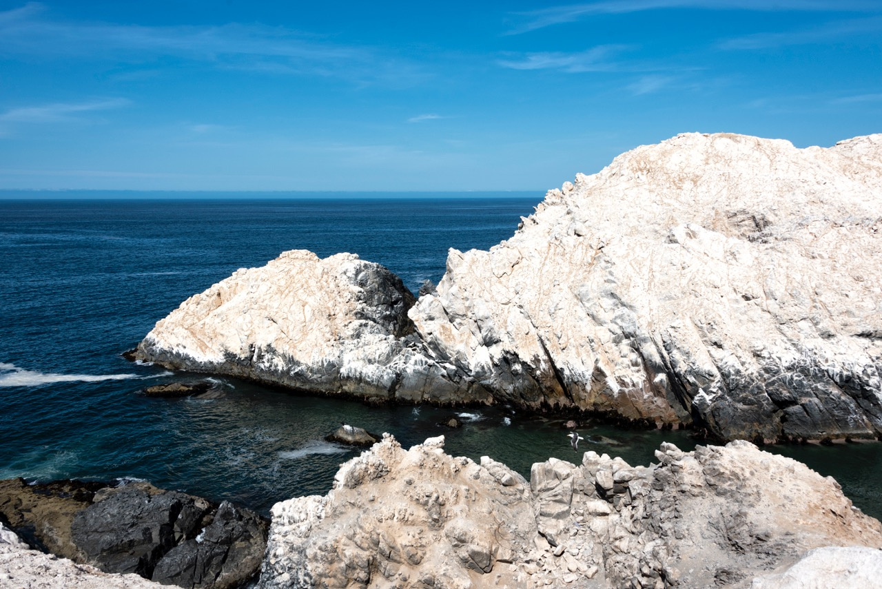 Seabird’s poop was a fertiliser during Prehispanic times in the Atacama Desert
