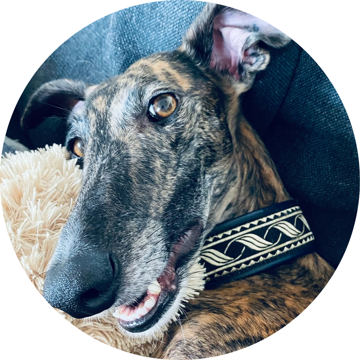 Go to the profile of Dave Johnson