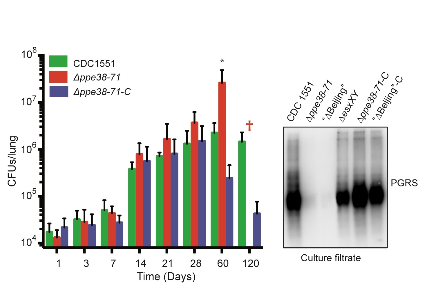 Jump in and shout Eureka! Sometimes you’ll be right.