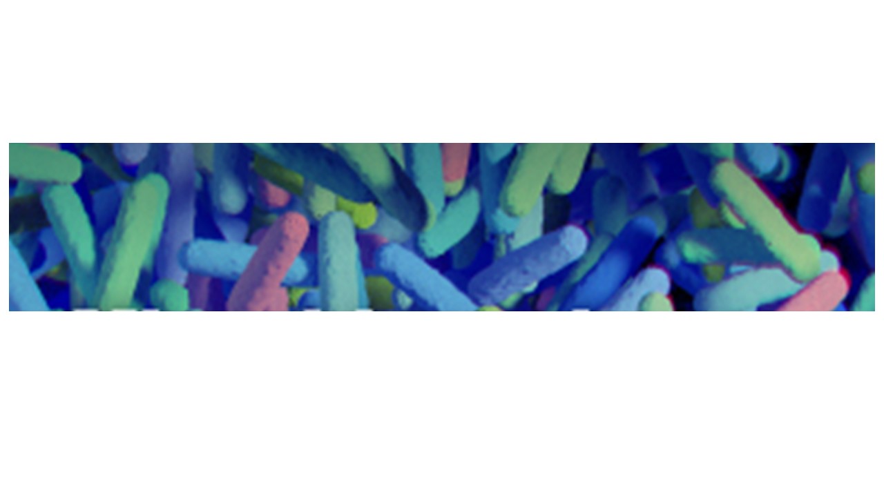 The oral resistome: A refreshing perspective on AMR