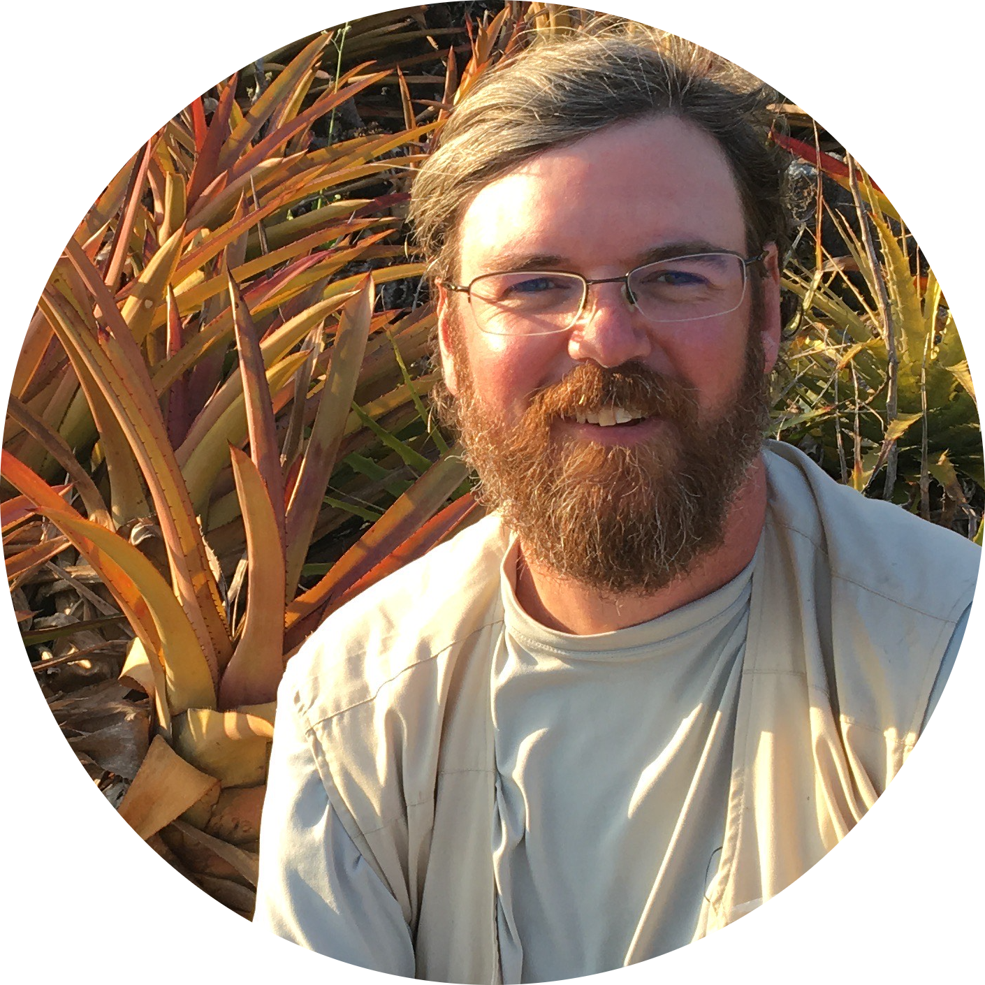 Go to the profile of Gustavo Q Romero