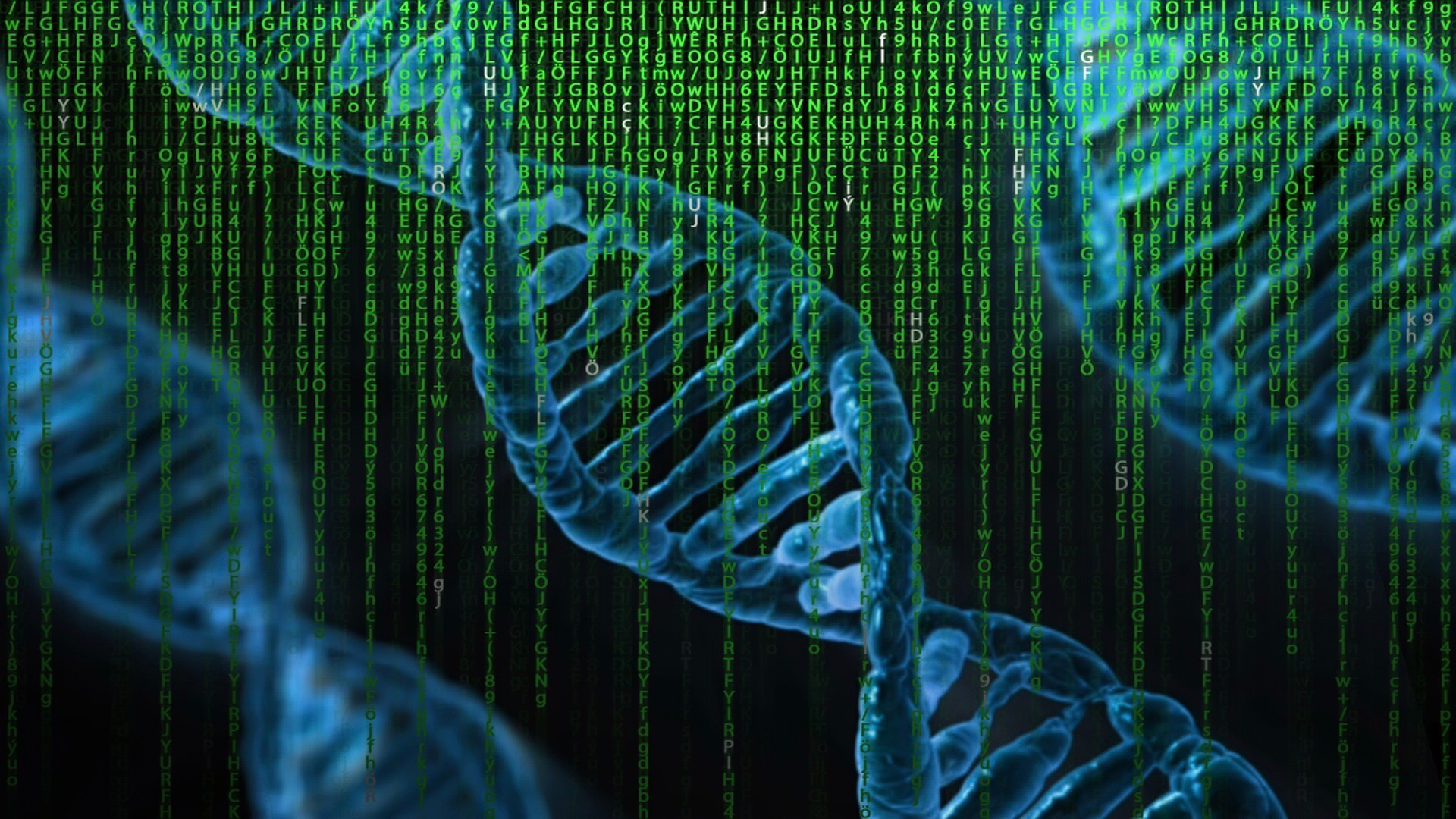 Genes not the only factor in maths matters