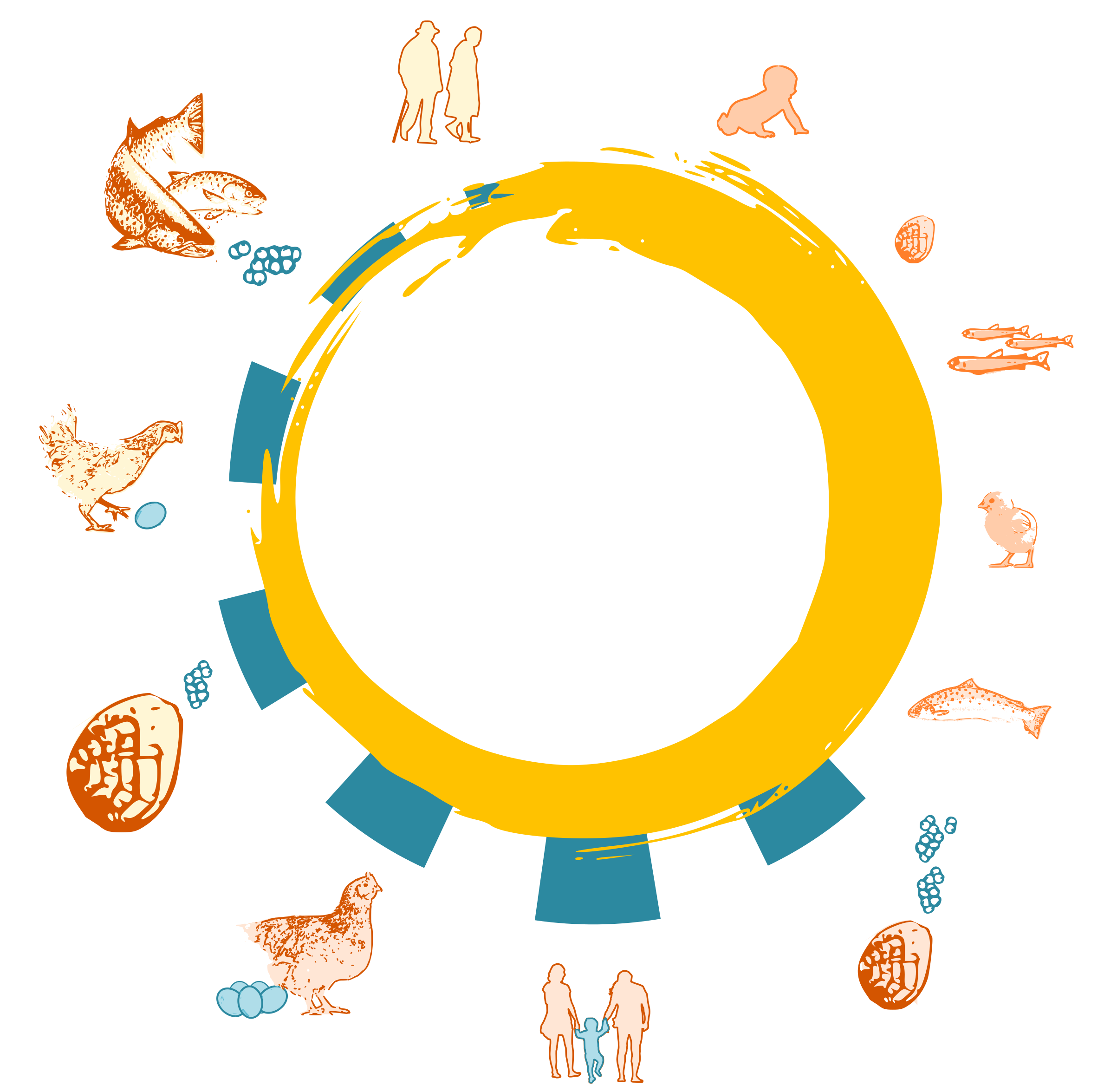 Mapping out the shape and pace of animal life cycles.