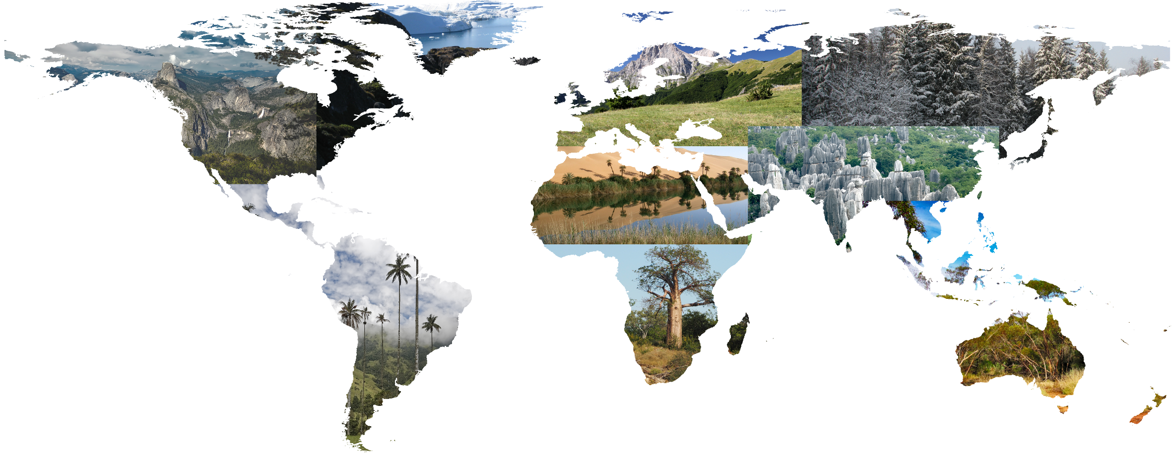 Could we reduce the functional diversity of plant communities to a few schemes?