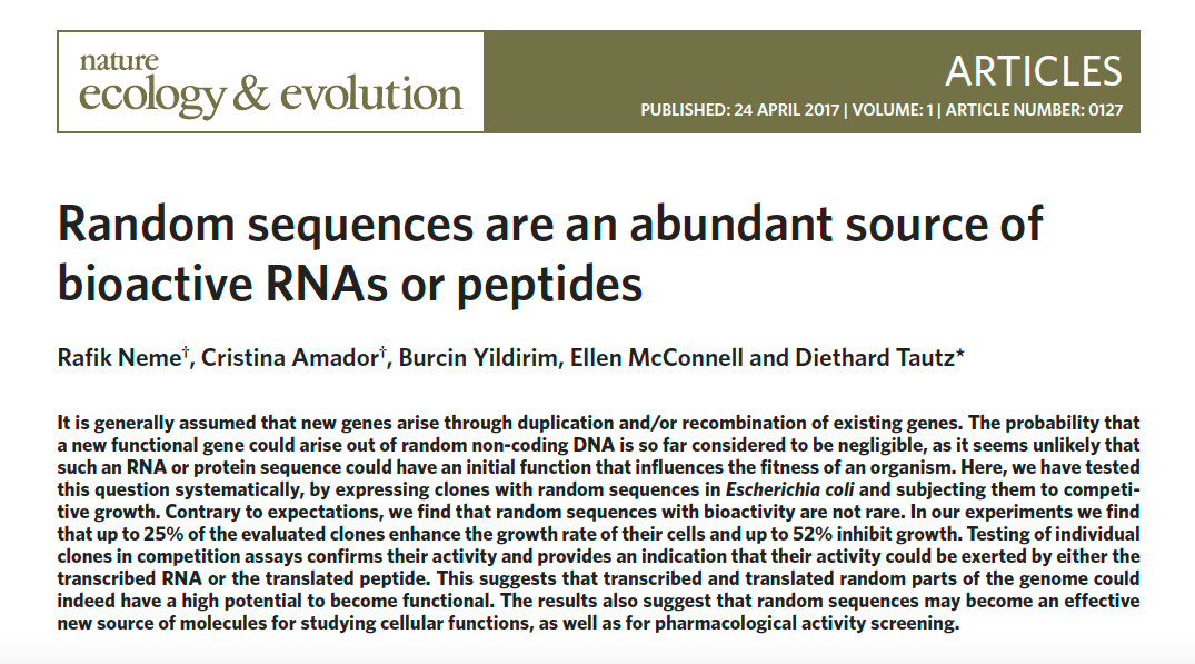 "Abundant bioactivity" of random DNA sequences?