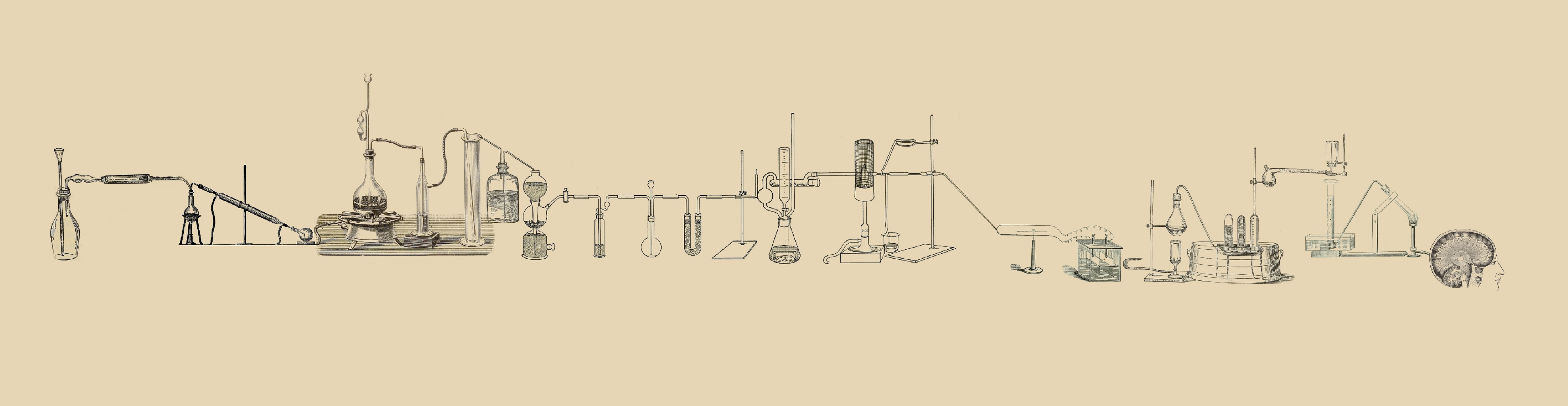 Optical… Schmoptical, the rise of the Tsieneneration X