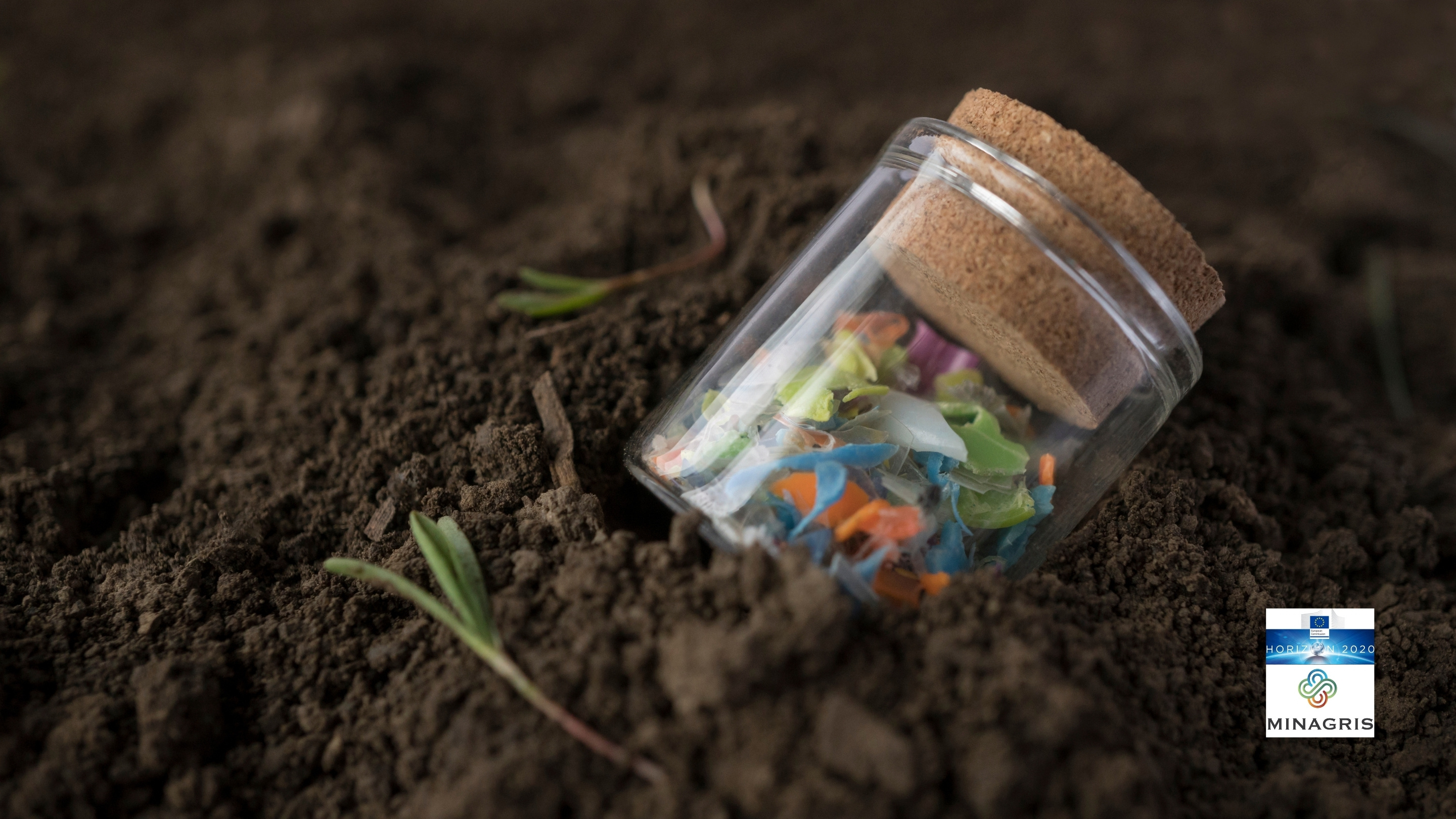 Hidden dangers beneath our feet: how biodegradable plastics and farm chemicals could harm soil life