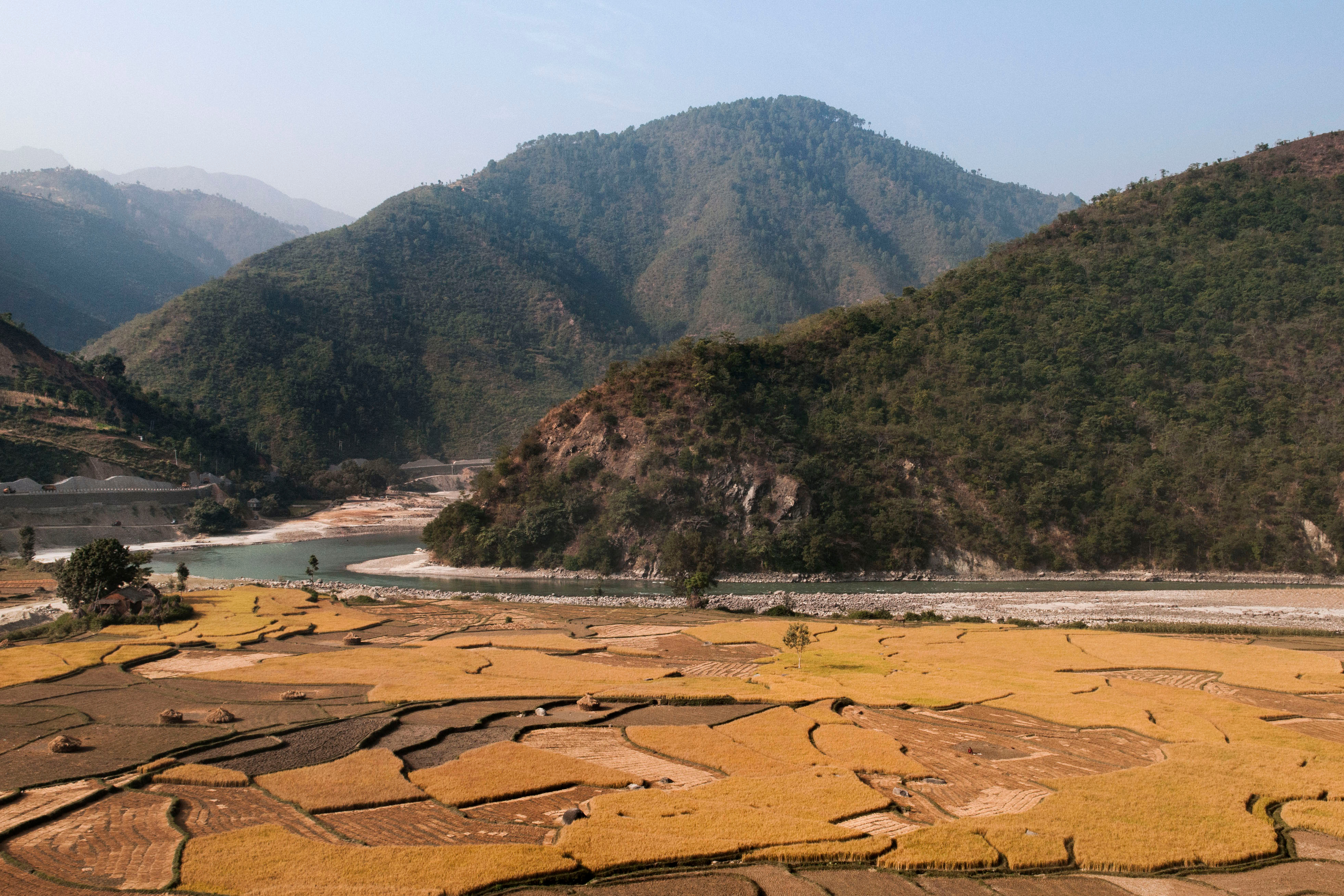 Reductions in deforestation and poverty from decentralized forest management in Nepal