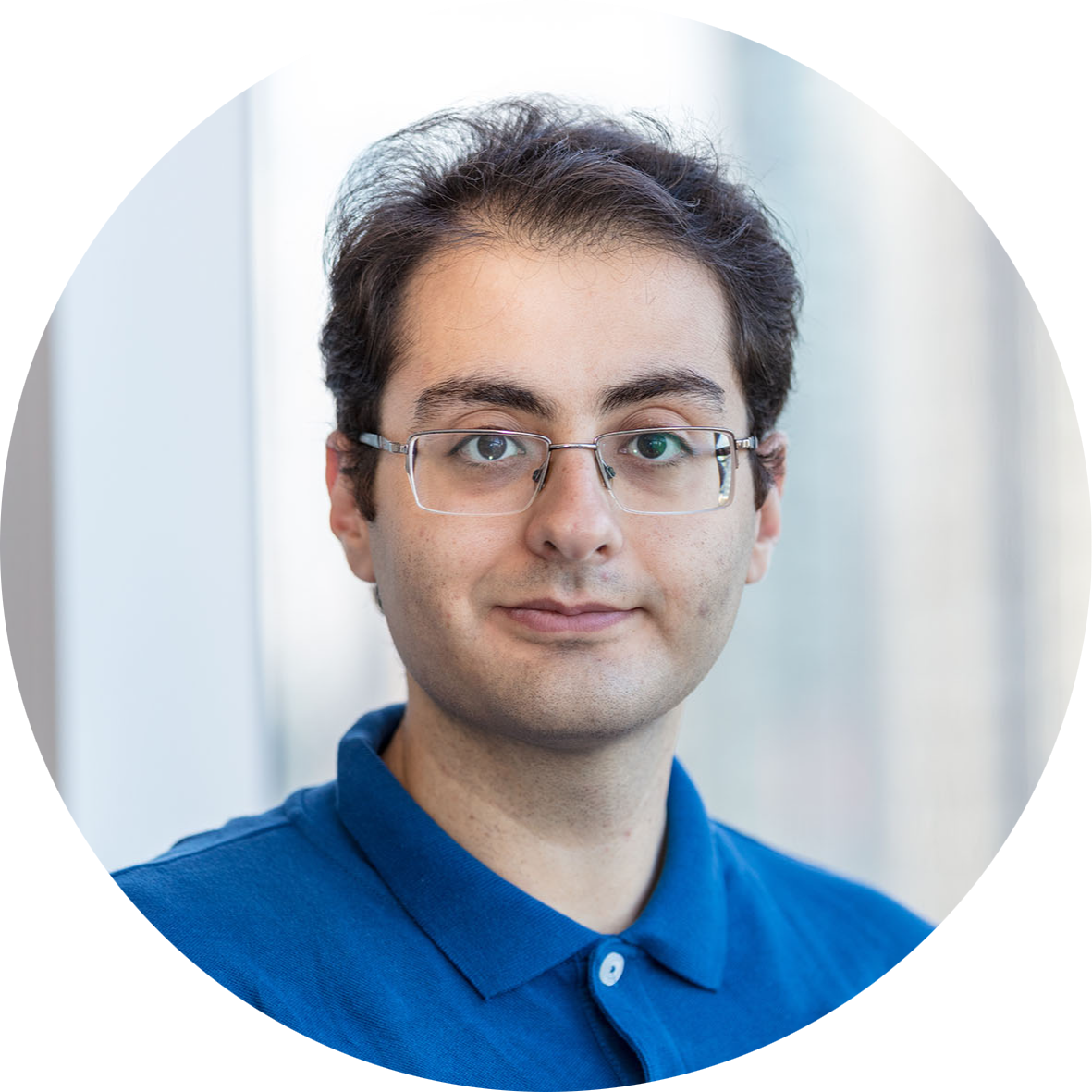 Go to the profile of Mehran Karimzadeh