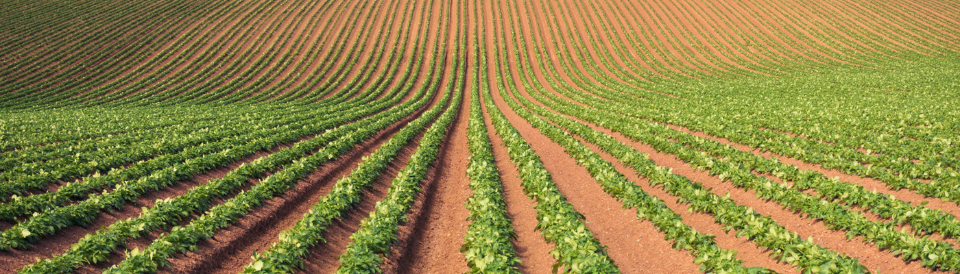 Call for papers: Nanotechnology in agriculture