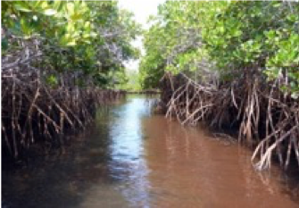 Marine Social Sciences For The Ocean We Want 