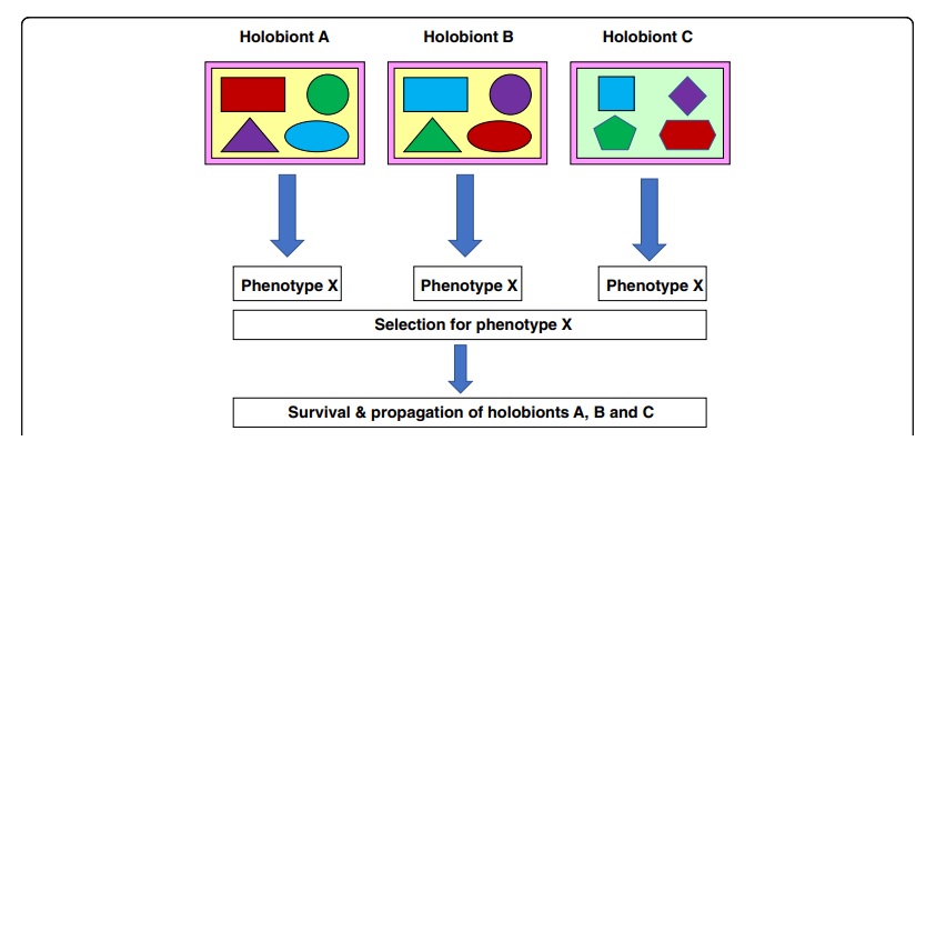 The microbial trafficking in genetic parts – within us