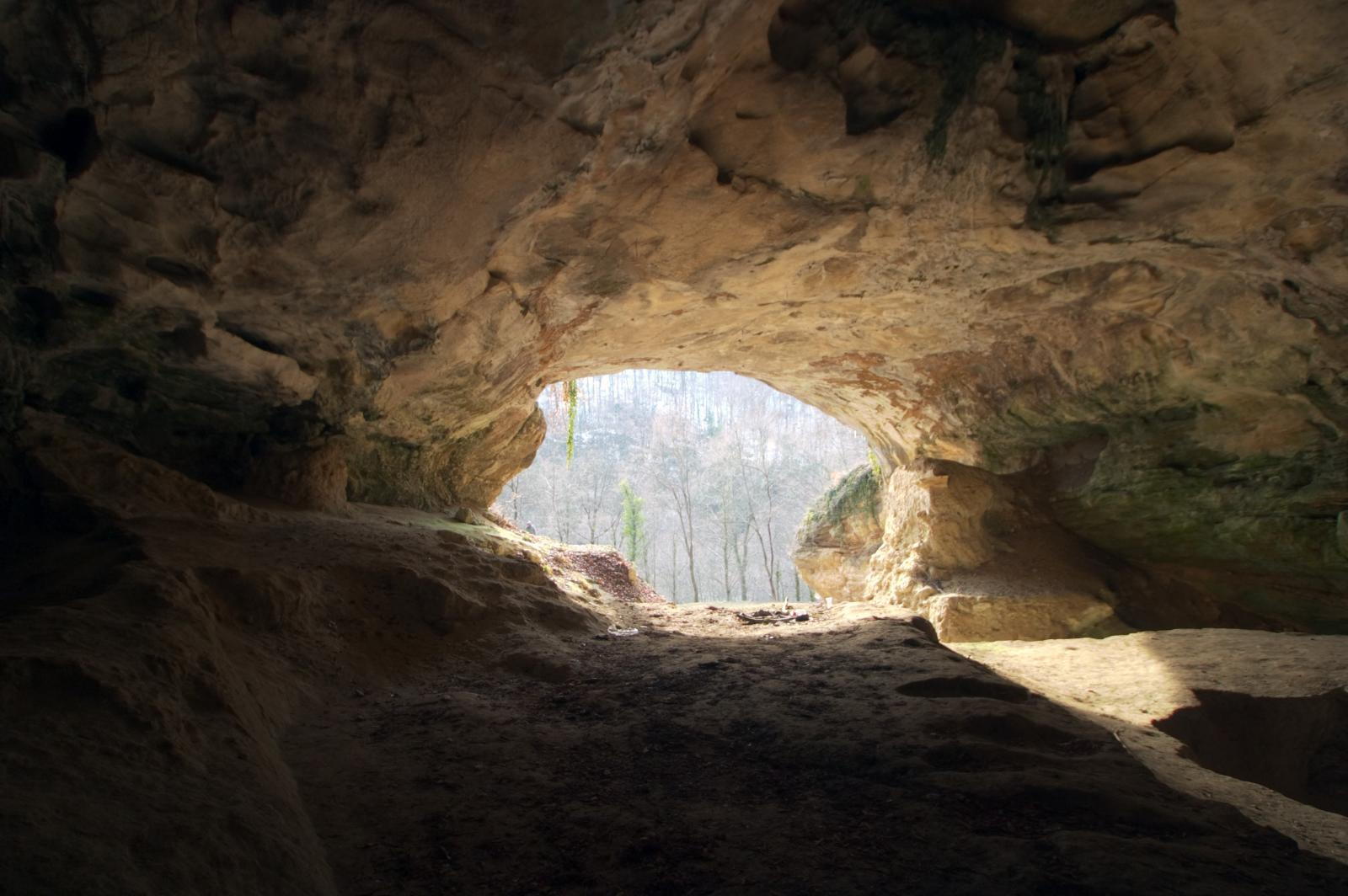 Unbraiding the Neanderthal knot in human evolutionary history