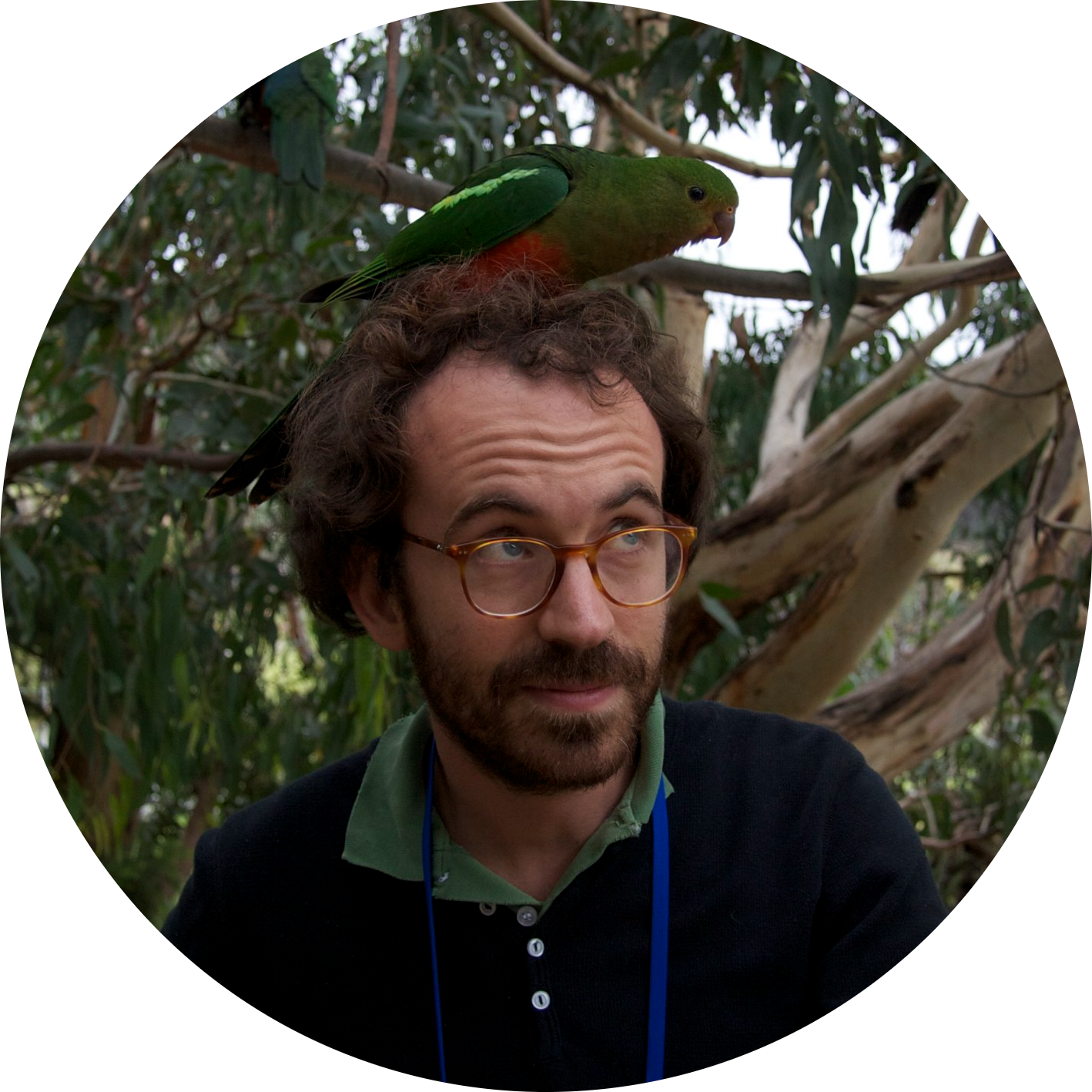 Go to the profile of Alex de Mendoza