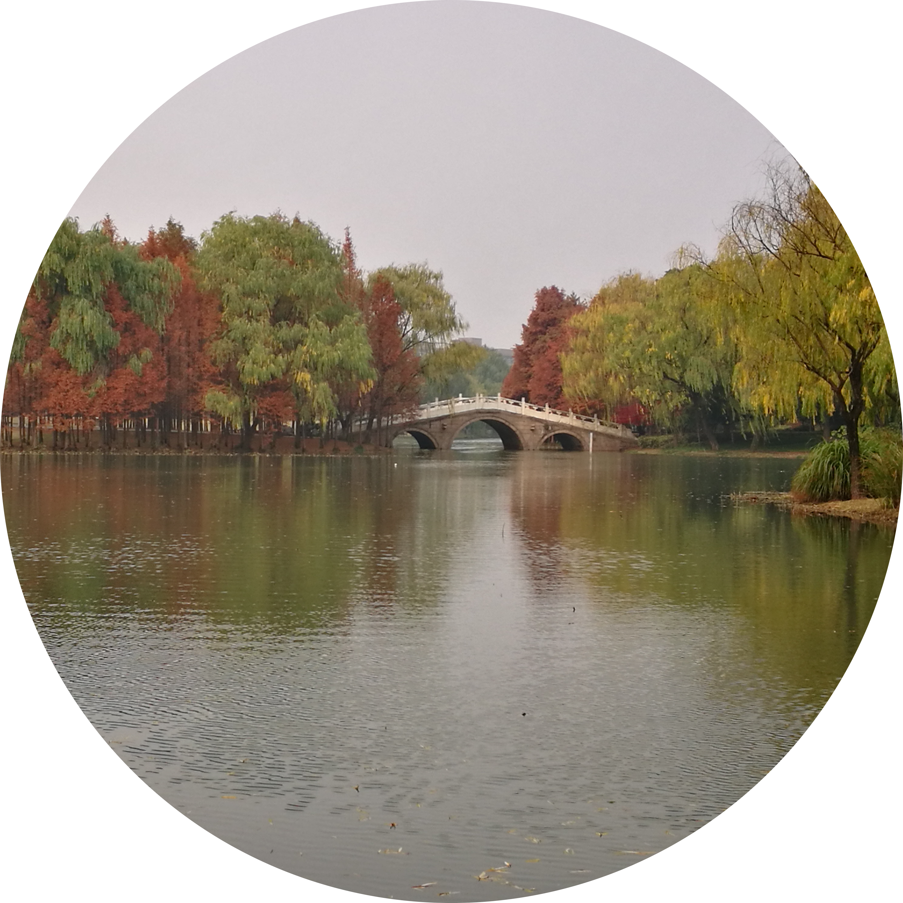 Go to the profile of Shao Jian ZHENG