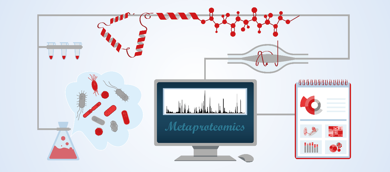 Studying Drug-microbiome interactions by metaproteomics.