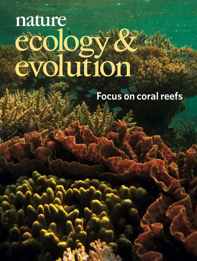 Gallery | February 2019 cover - focus on coral reefs