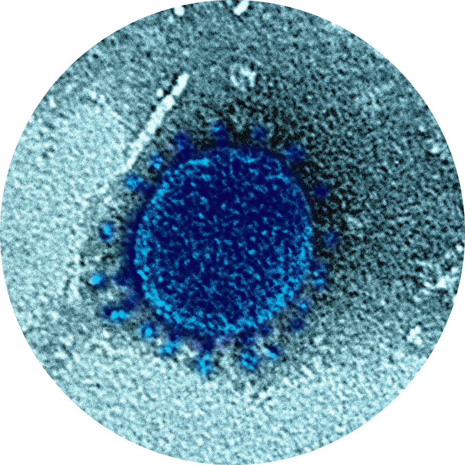 Go to the profile of Shmuel Yitzhaki, Ph.D.