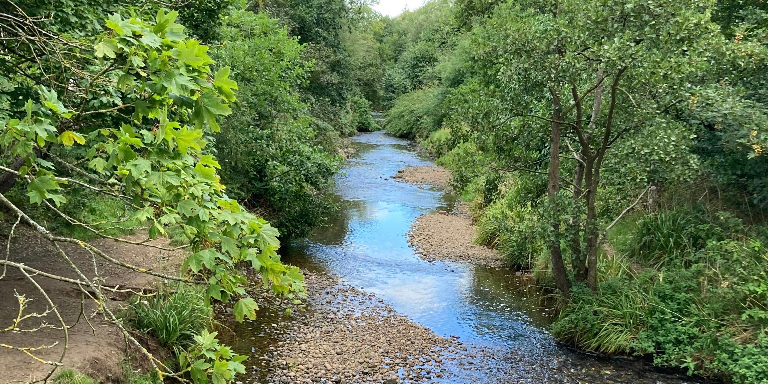 Uncovering the hidden microbial life of river biofilms