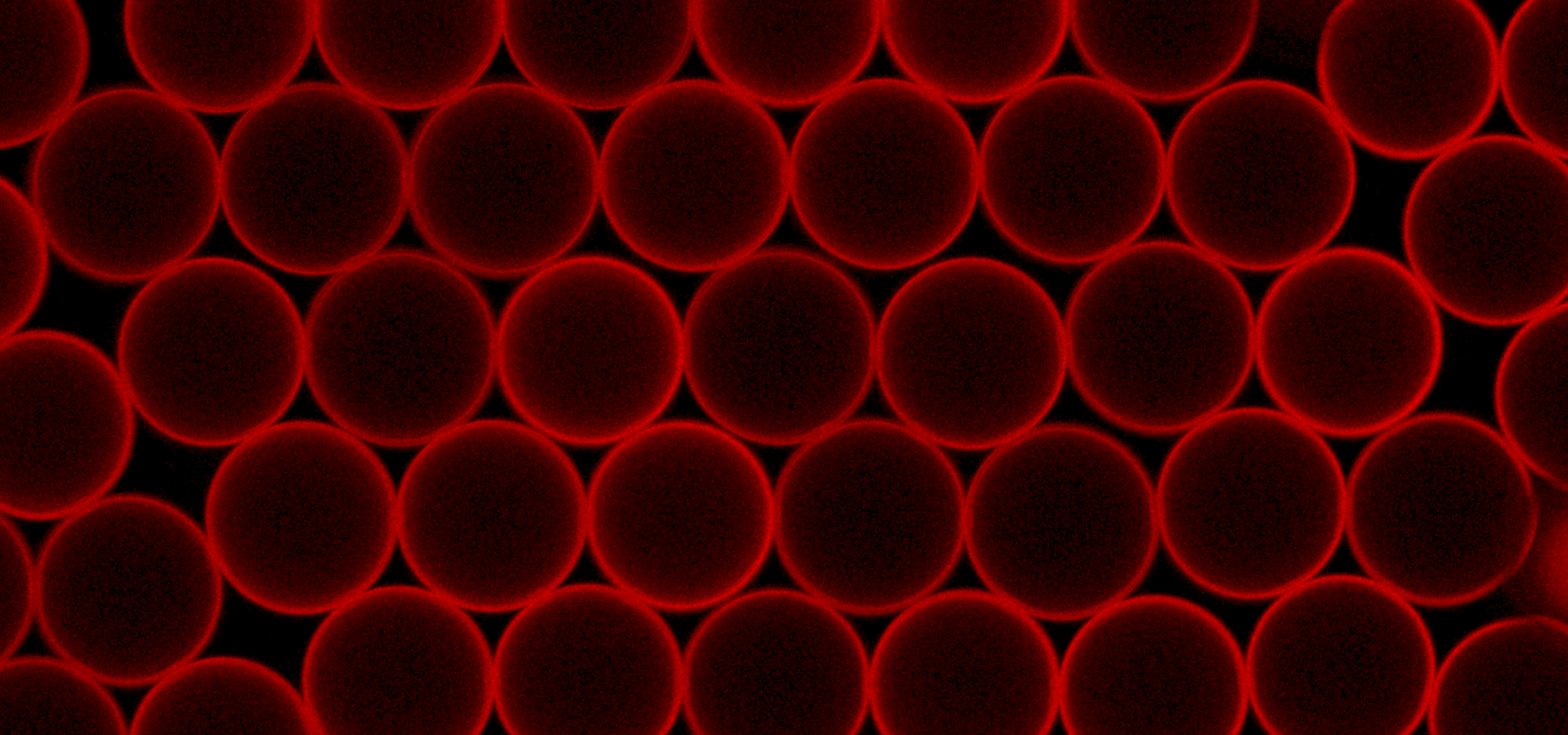Synthetic lipid membranes - now with 100% less additives!