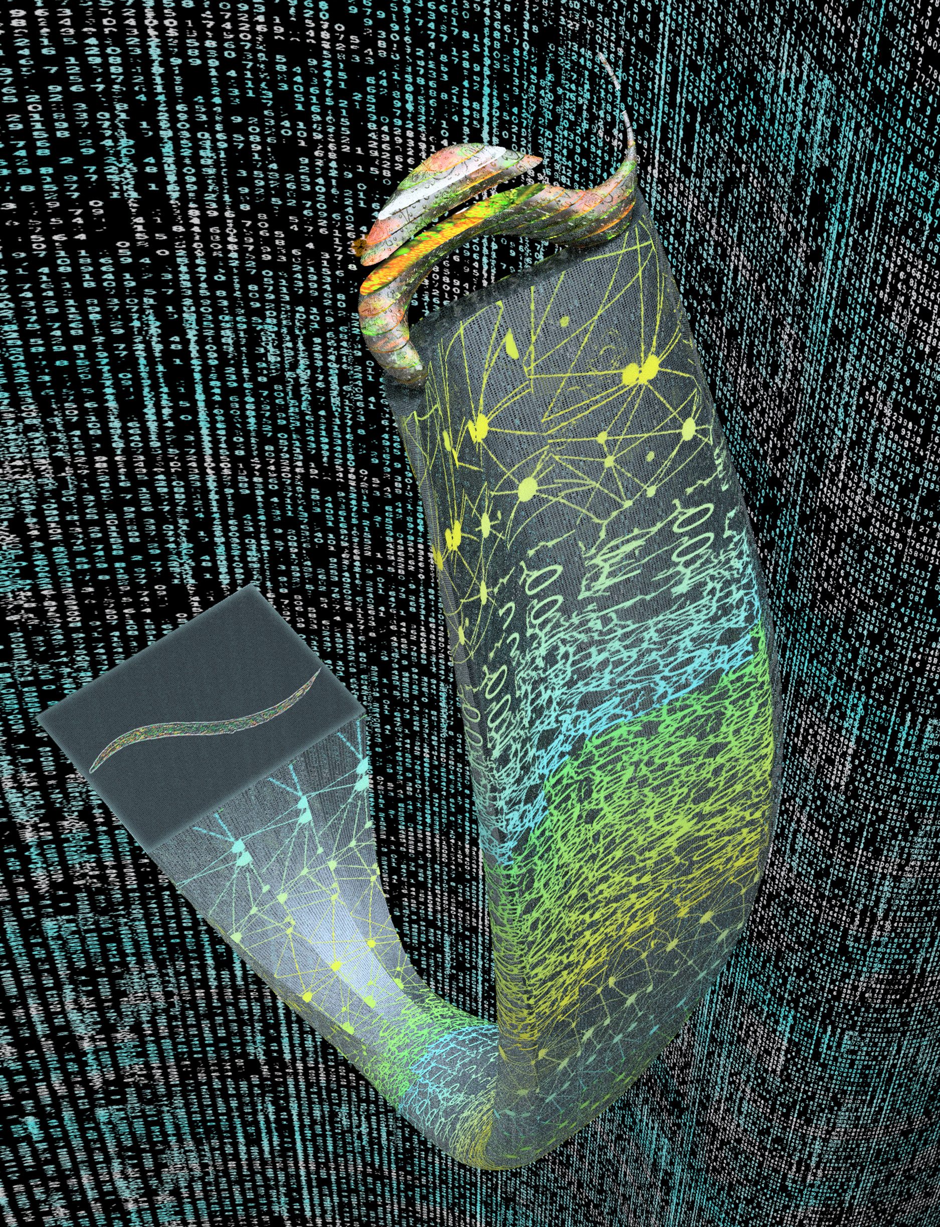A virtual journey within a fluorescent sample: 3D digital refocusing of fluorescence images using deep learning