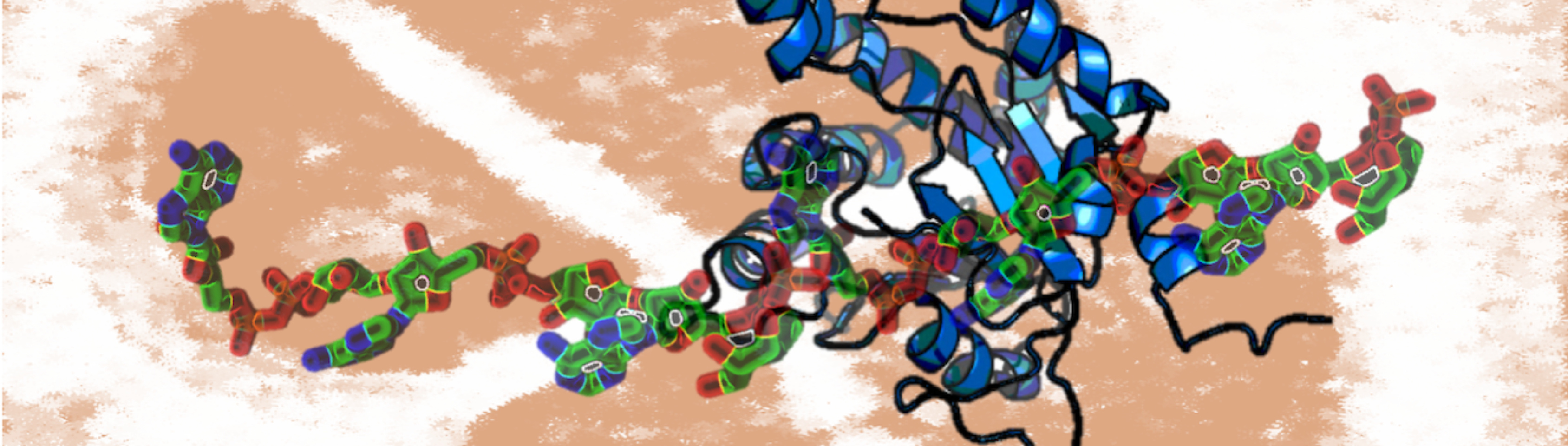 “Micro” Difference on Macro Domain: Discovery of Poly-ADP-ribosylation in Prokaryote