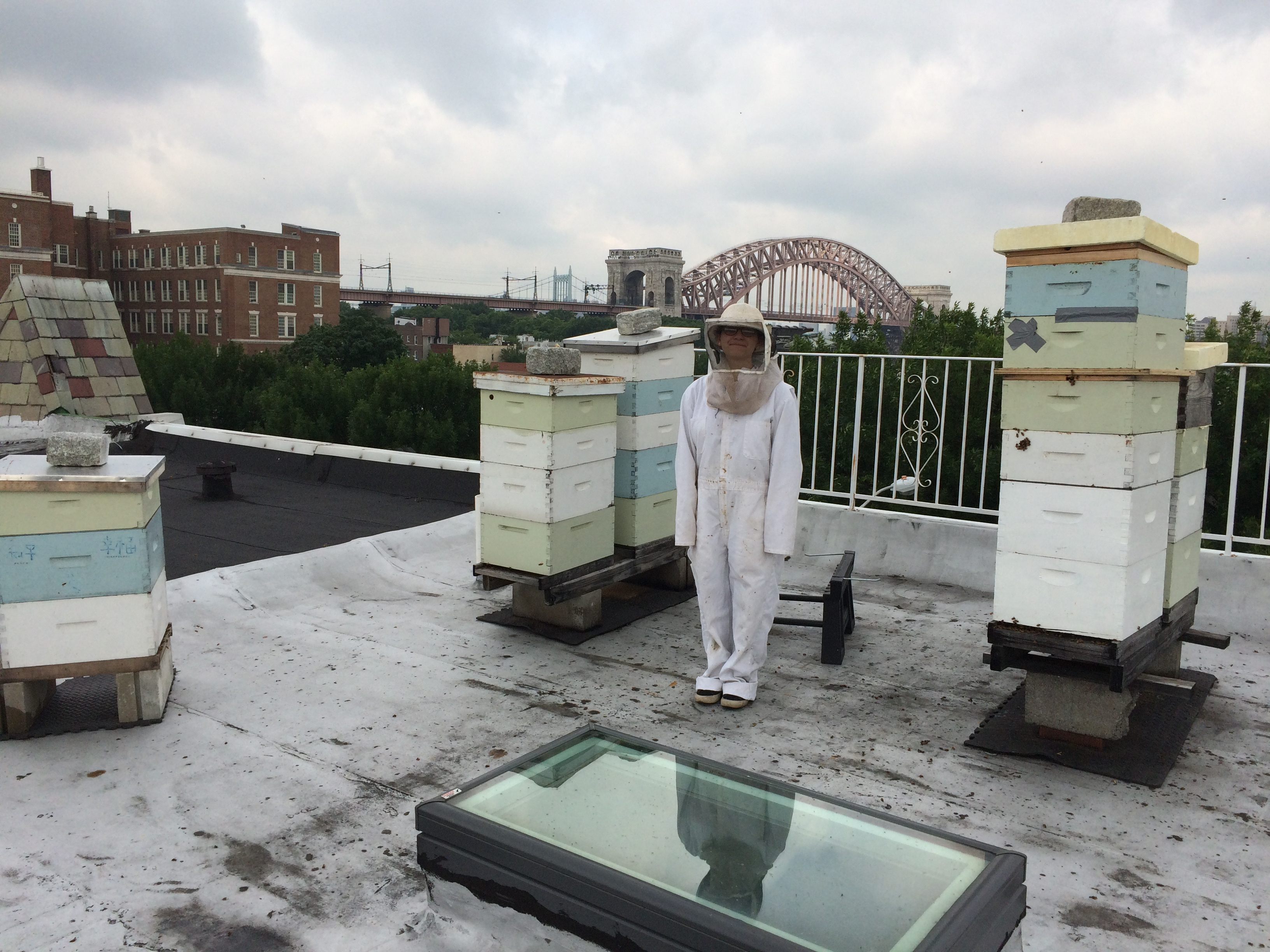Holobiont Urbanism: sampling urban beehives reveals cities’ metagenomes