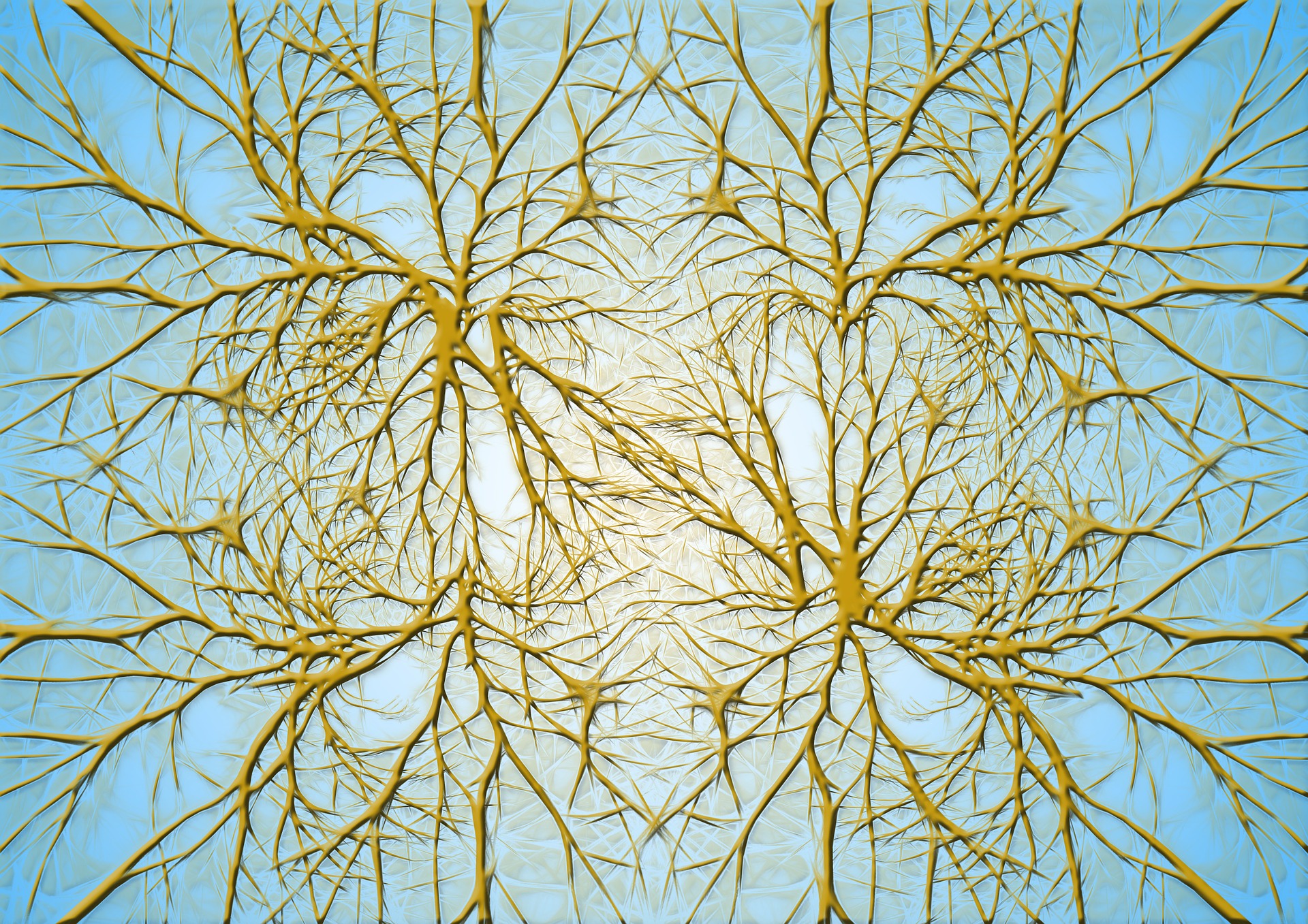 Brain changes across the psychosis continuum